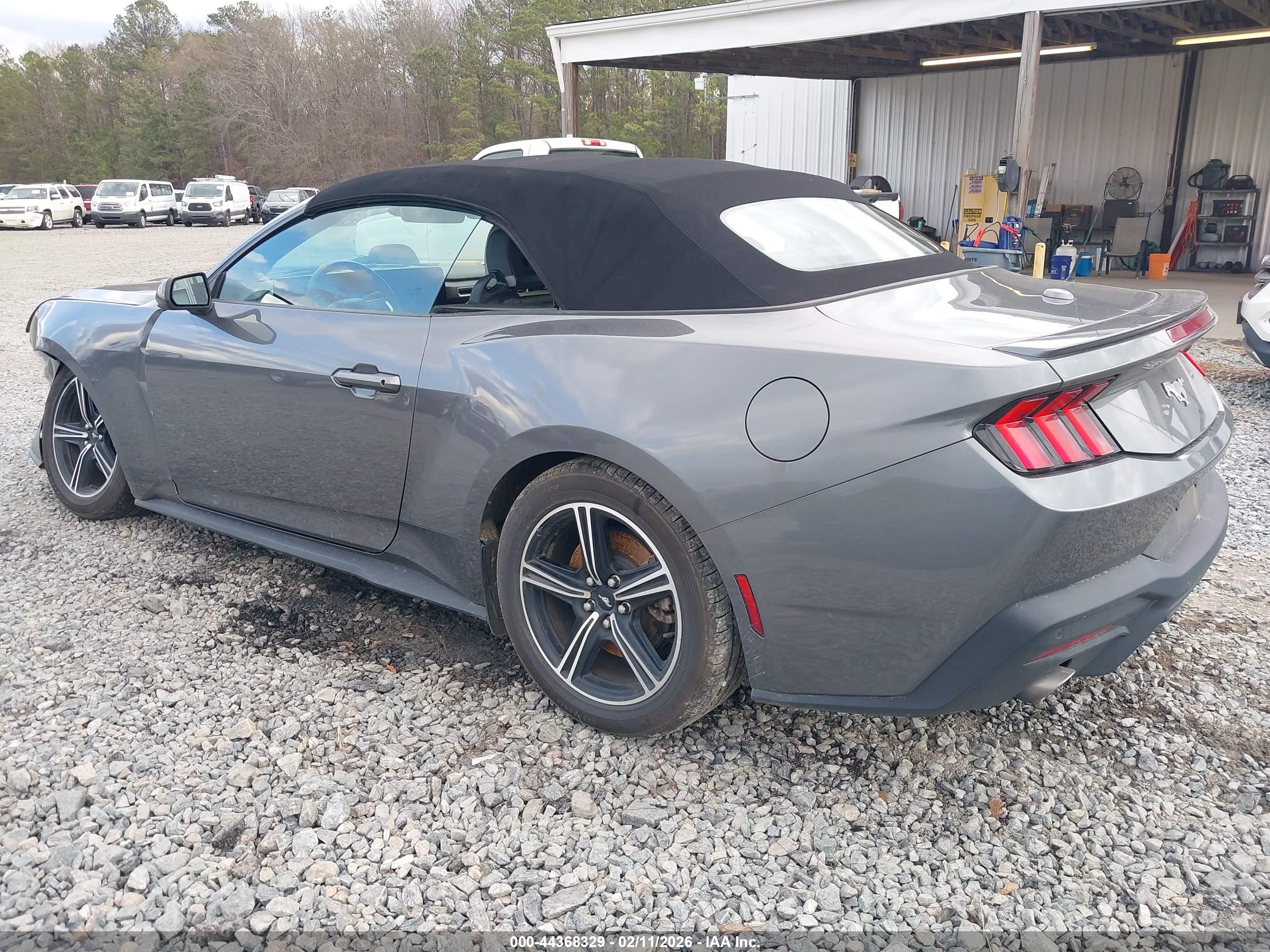 FORD MUSTANG image 3
