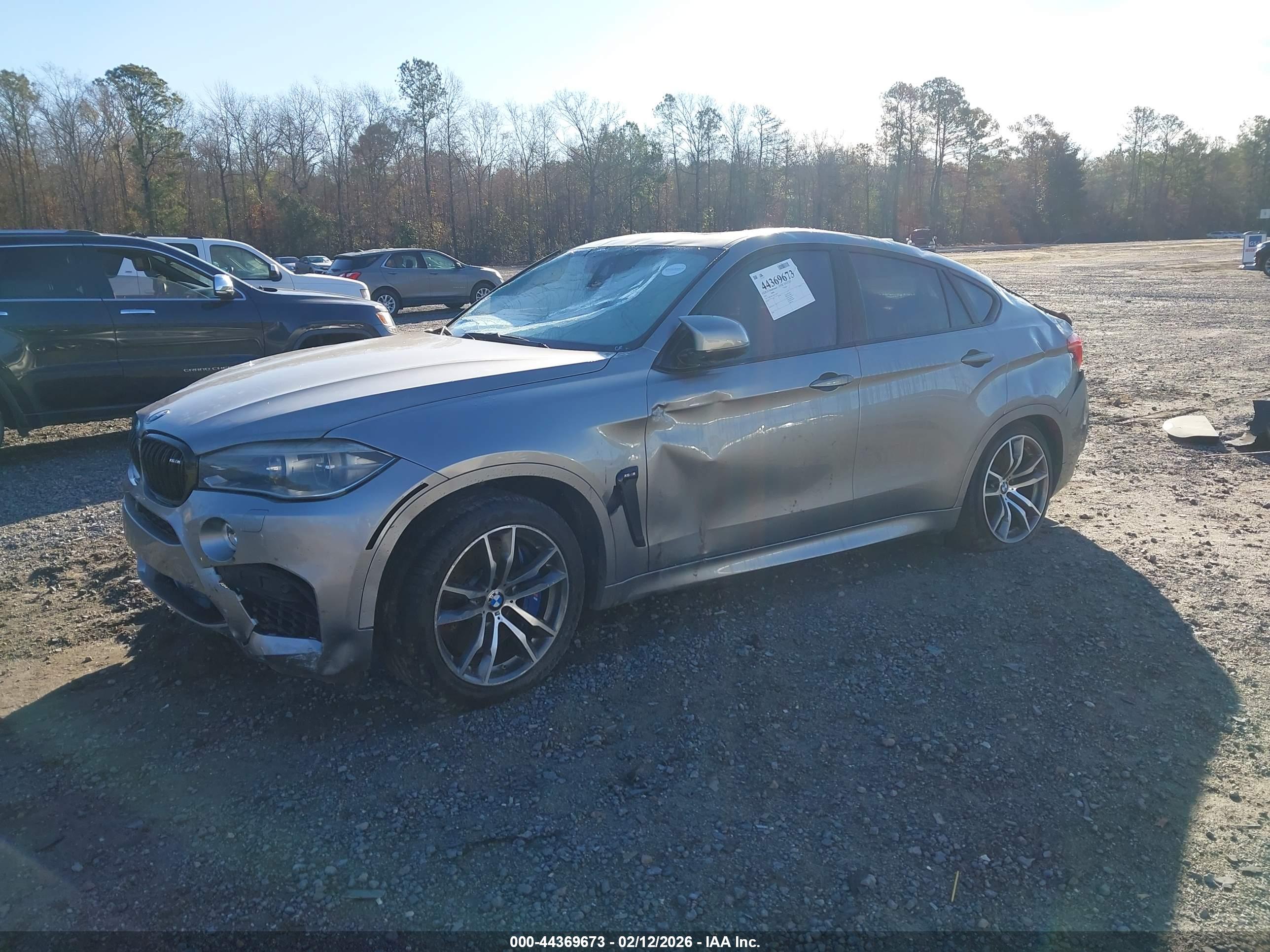 BMW X6 image 2