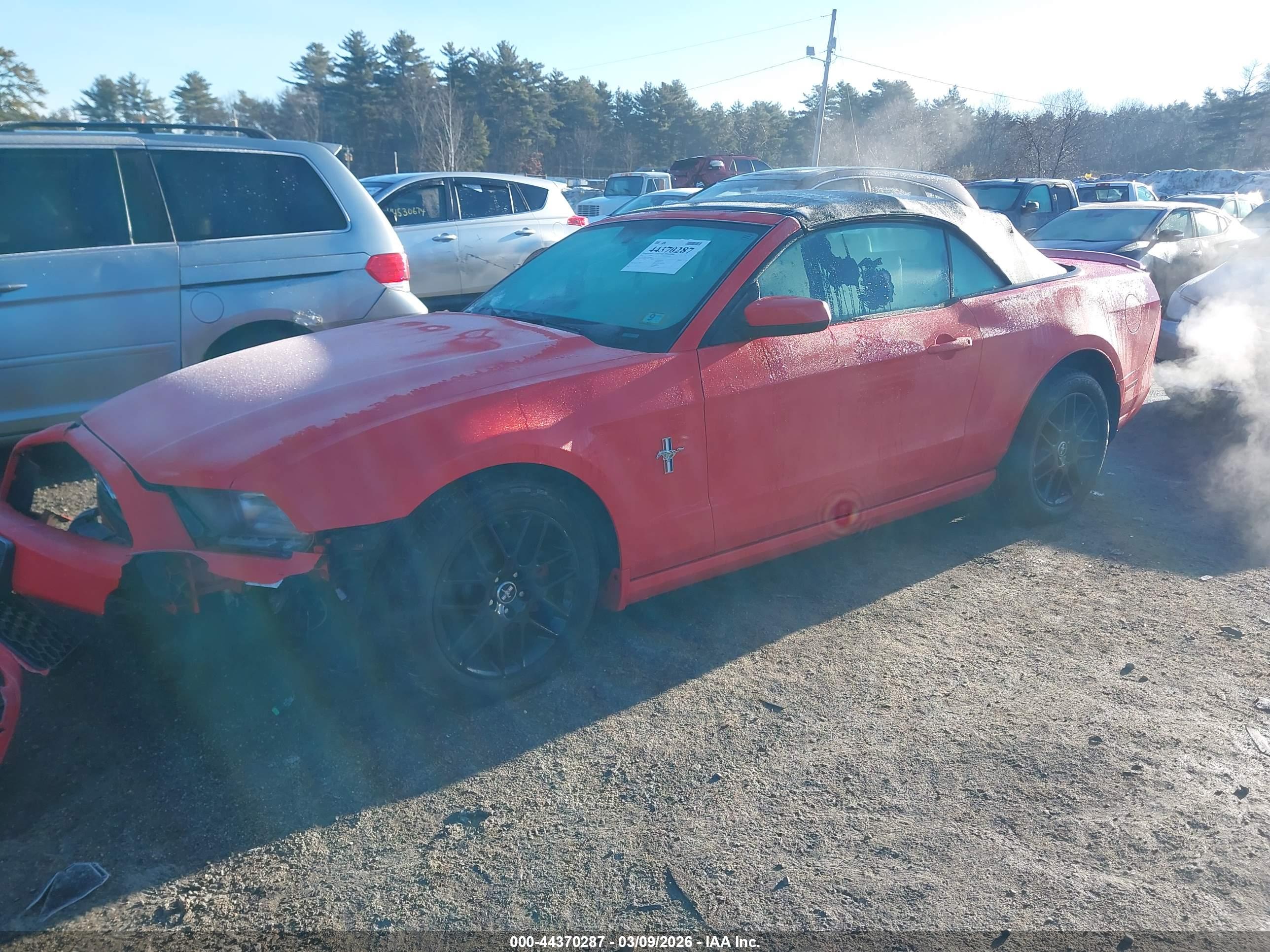 FORD MUSTANG image 2
