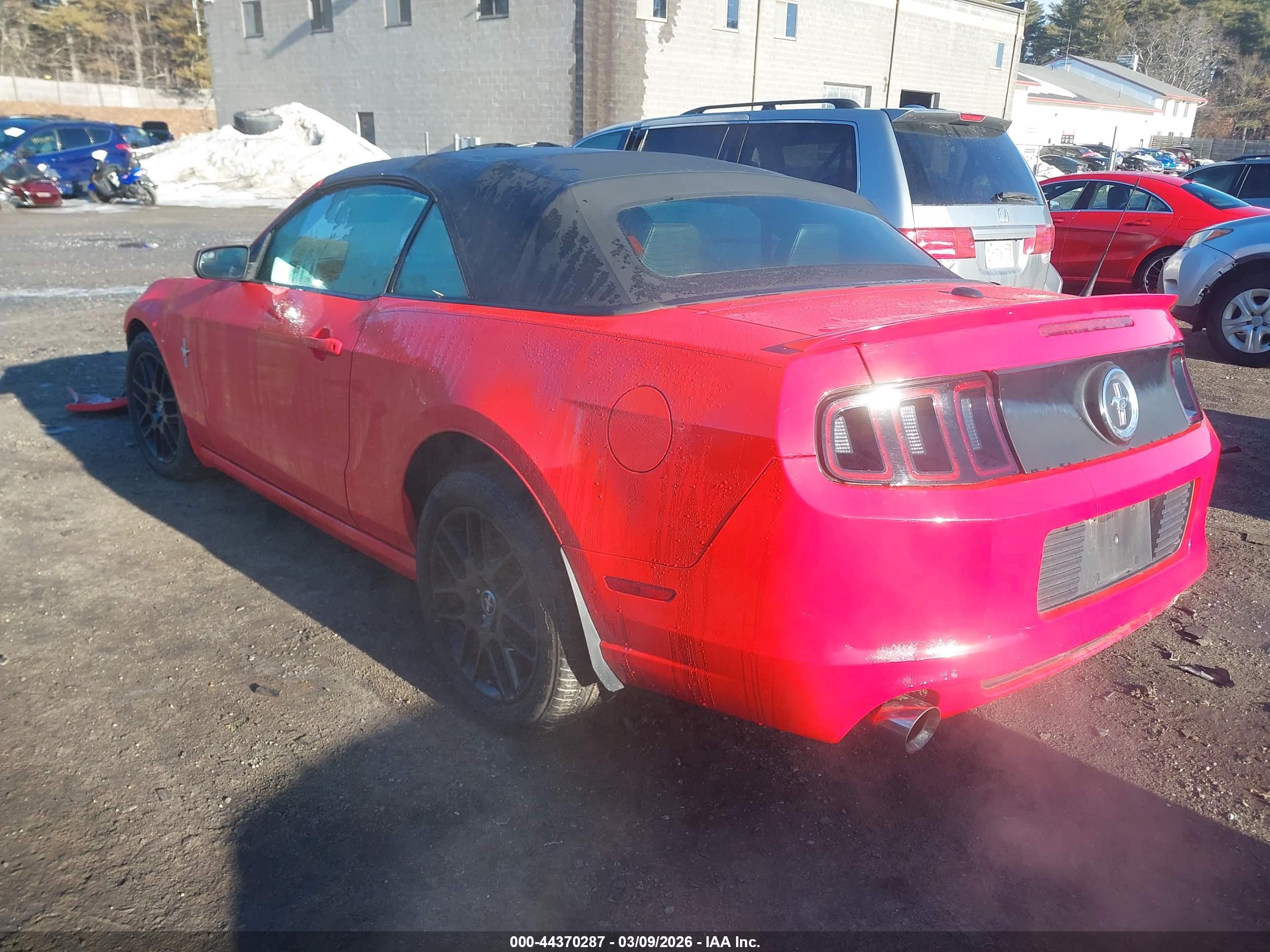FORD MUSTANG image 3