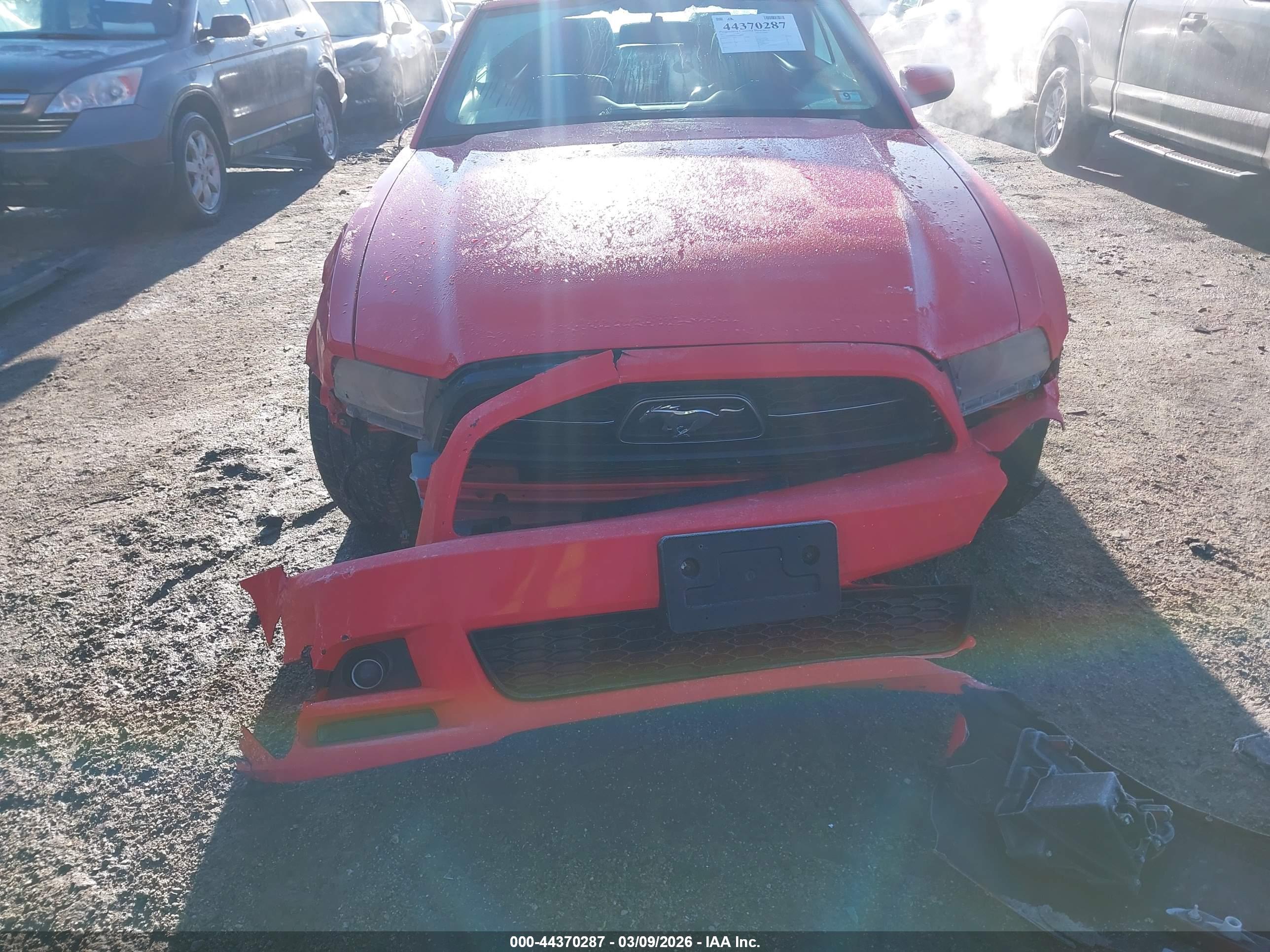 FORD MUSTANG image 6