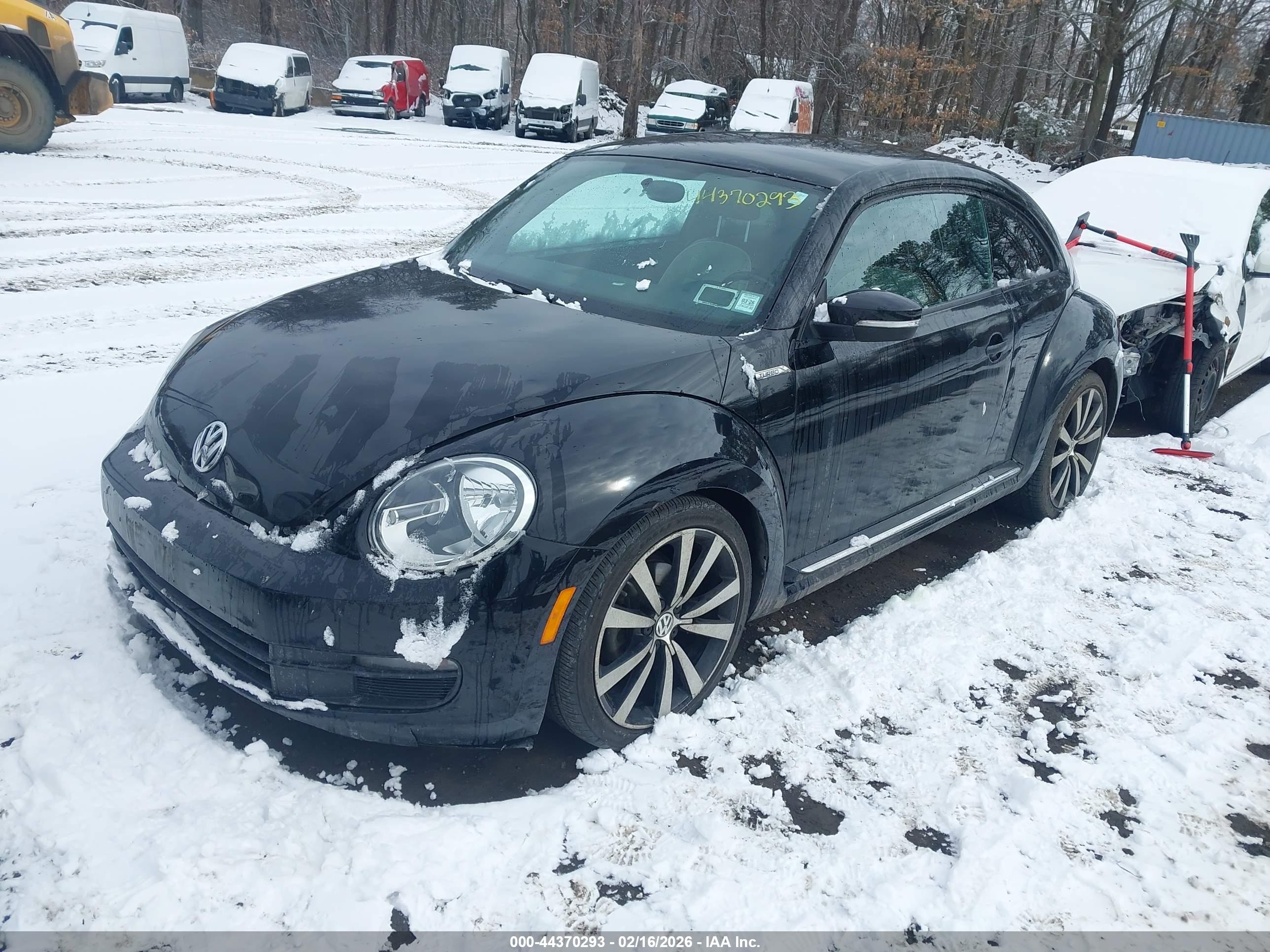 VOLKSWAGEN BEETLE image 2