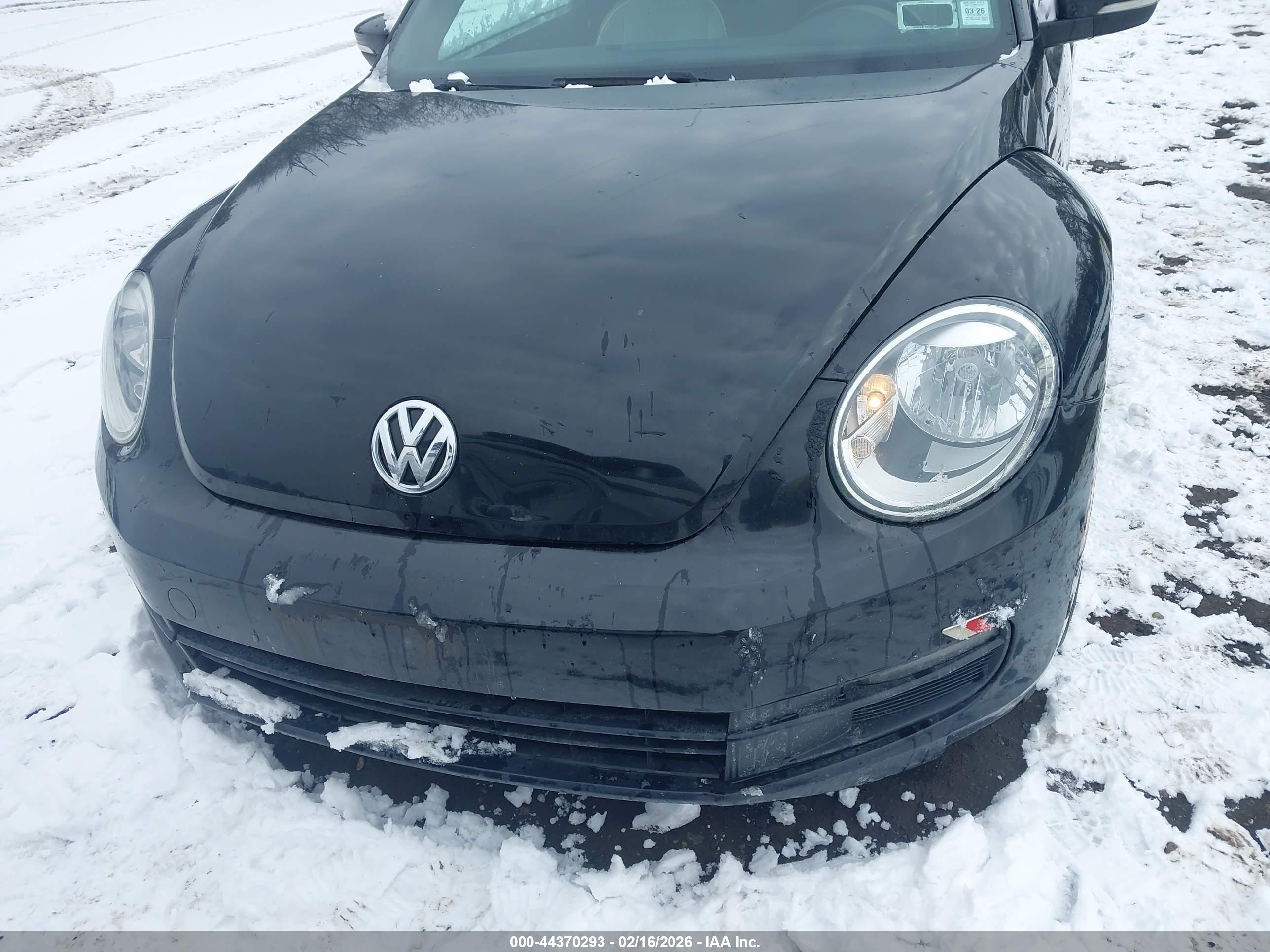 VOLKSWAGEN BEETLE image 6