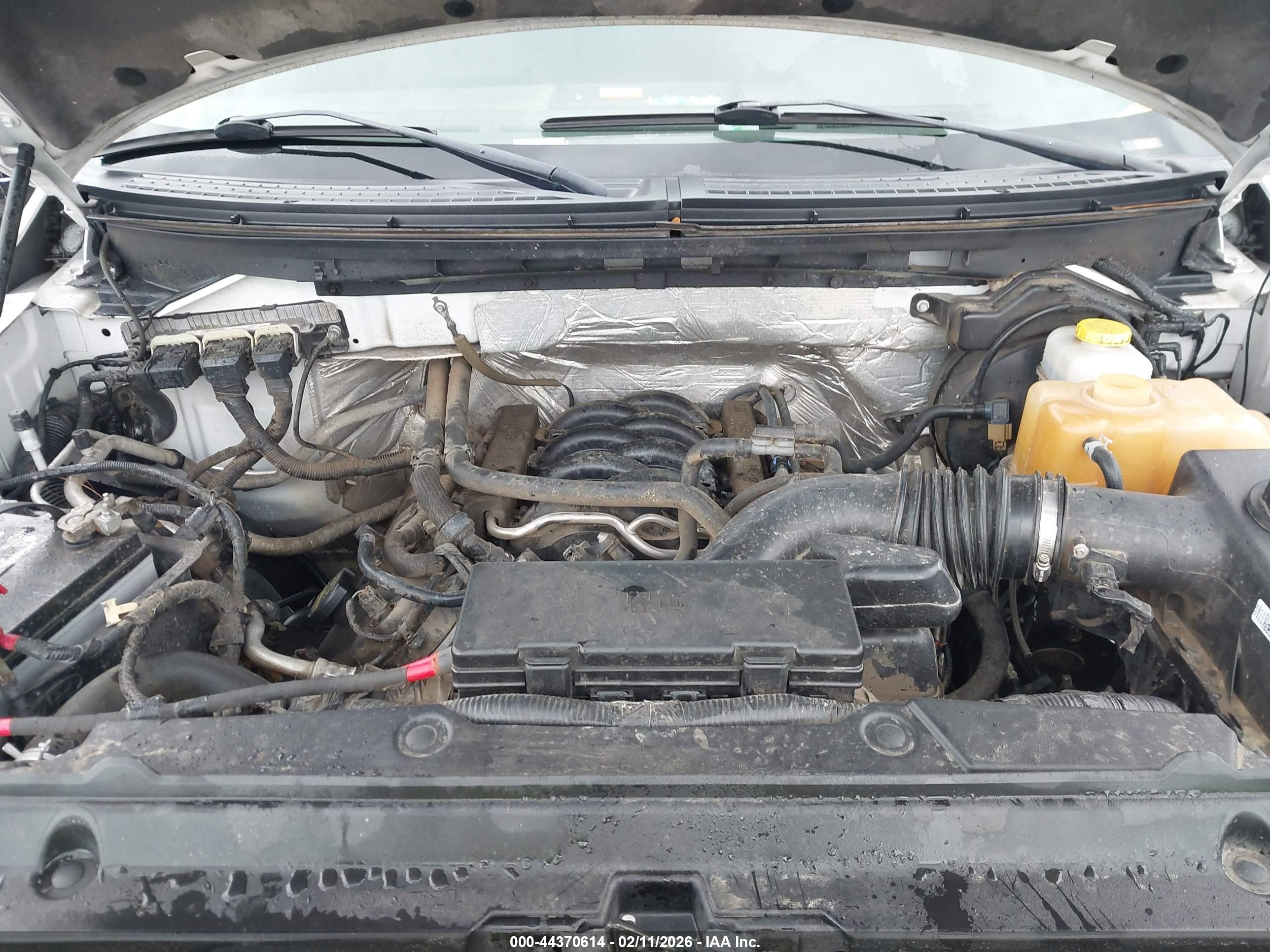 FORD F-150 image 10