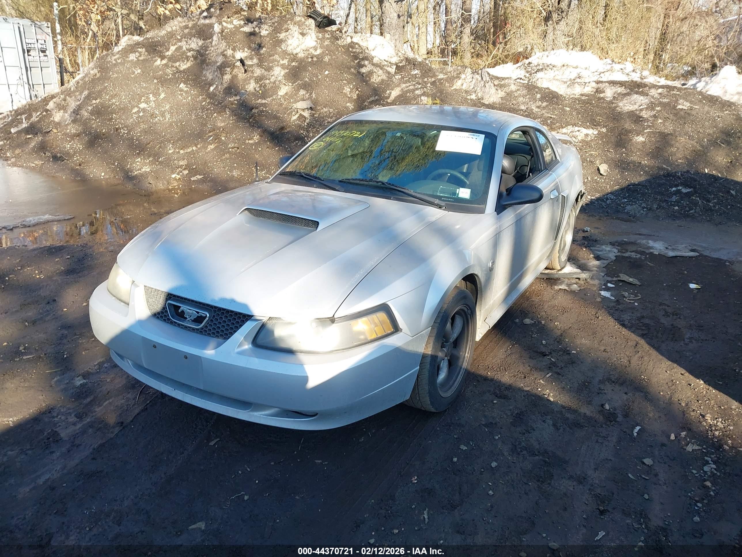 FORD MUSTANG image 2