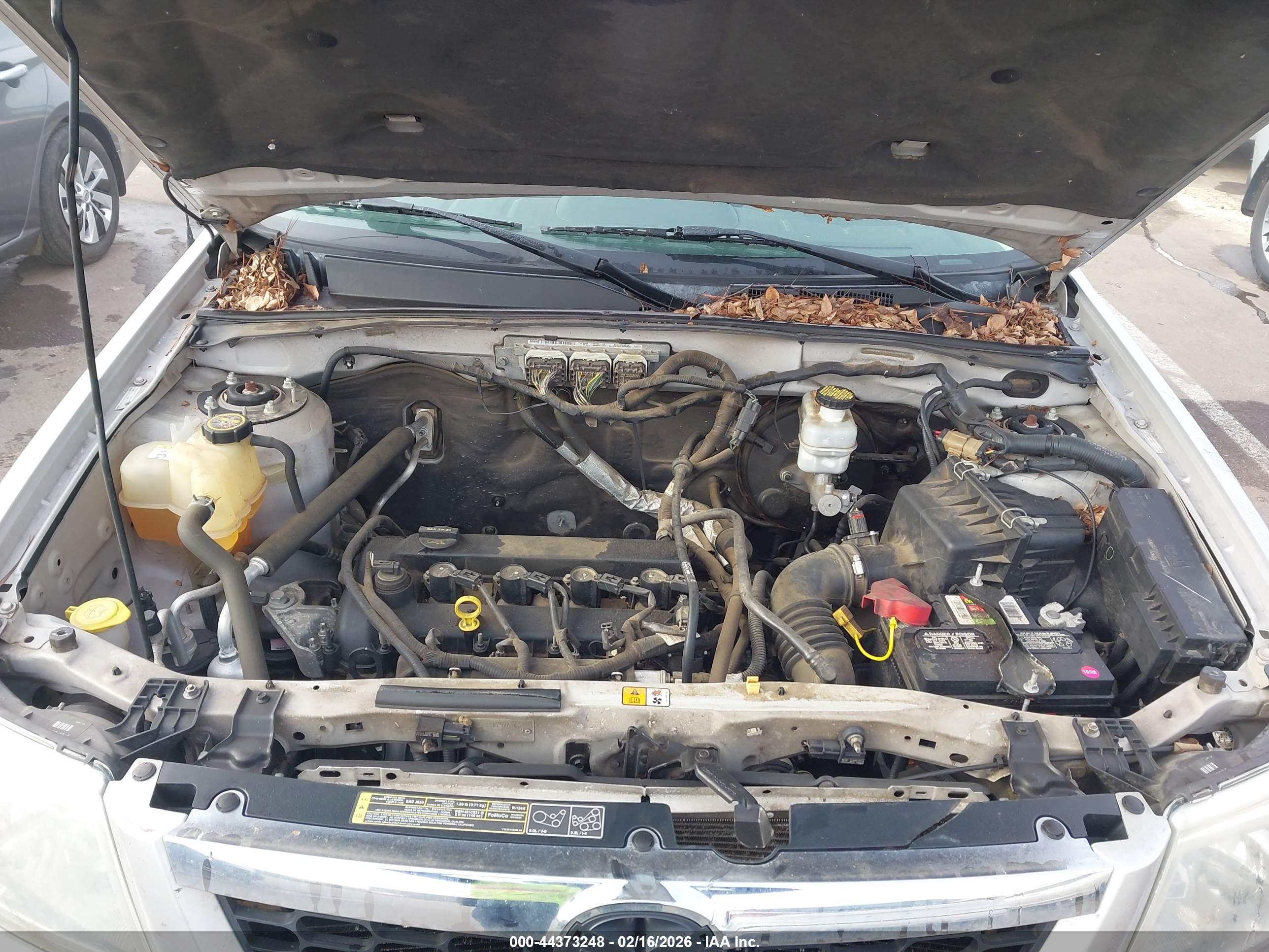 MAZDA TRIBUTE image 10