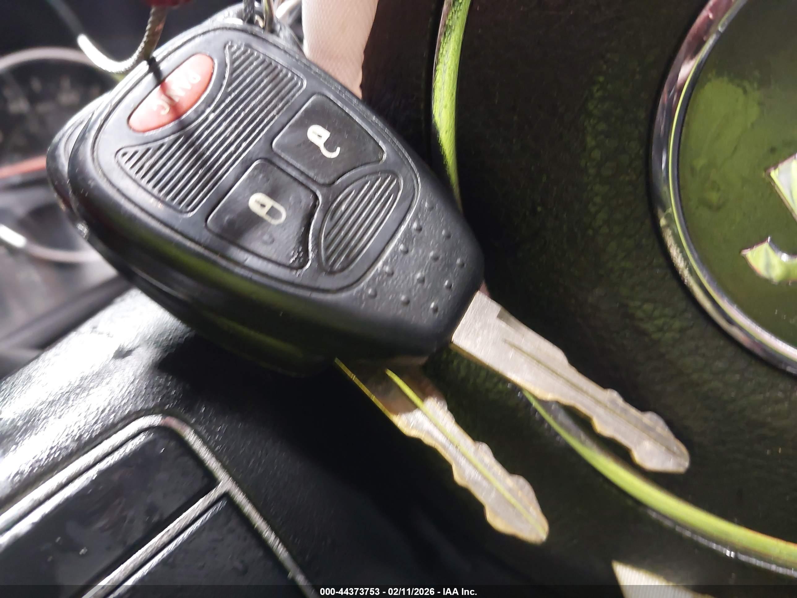 JEEP WRANGLER image 11