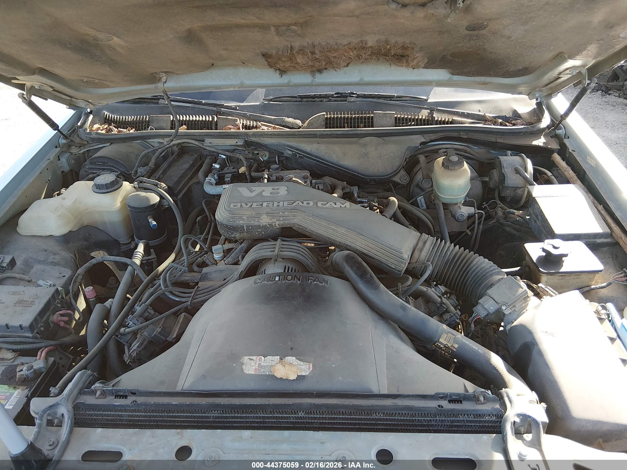 LINCOLN TOWN image 10