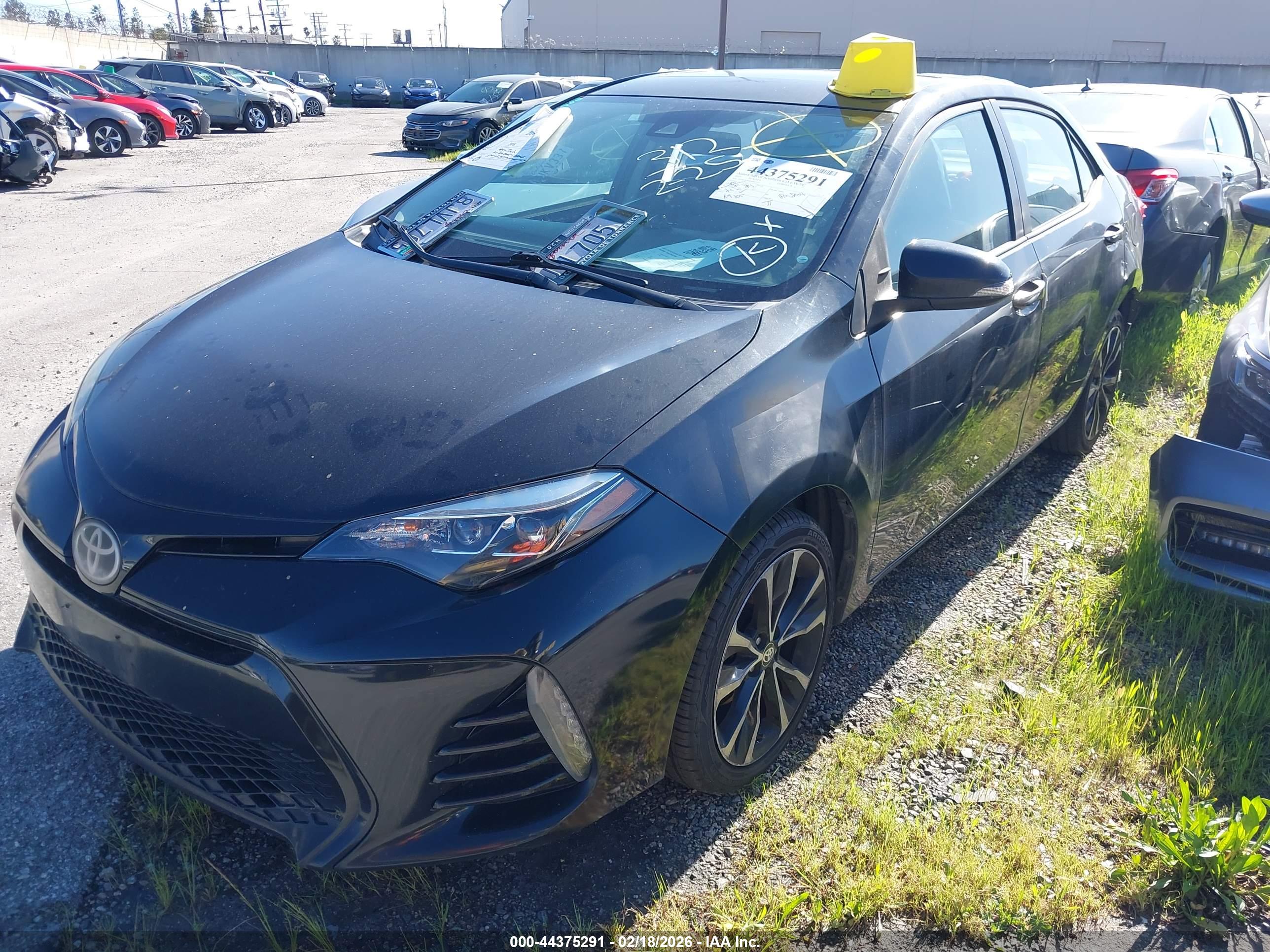 TOYOTA COROLLA image 2