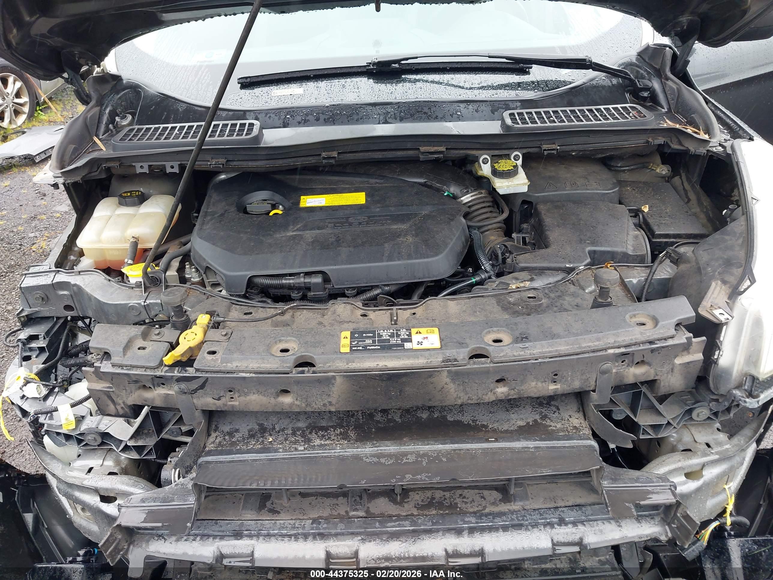 FORD ESCAPE image 10