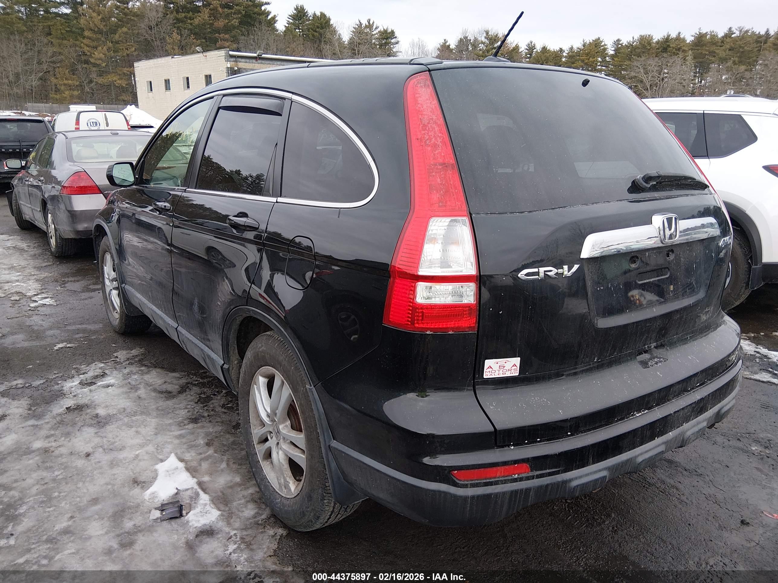 HONDA CR-V image 3