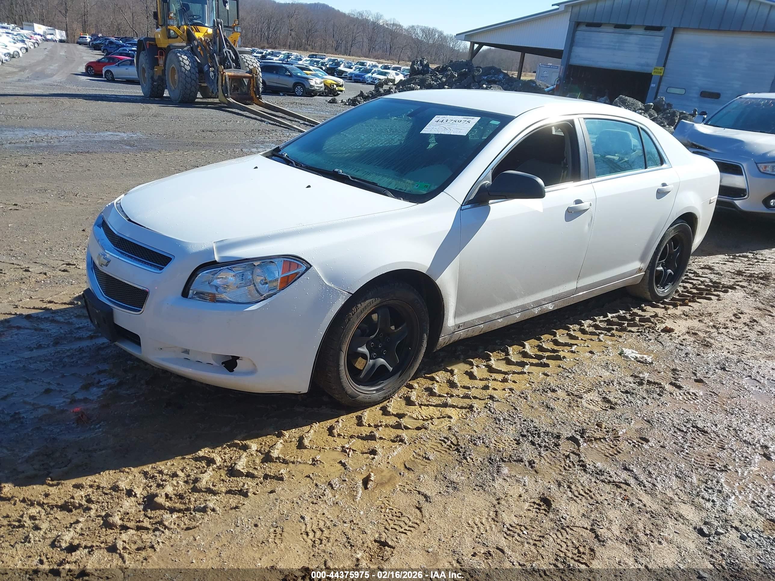 CHEVROLET MALIBU image 2