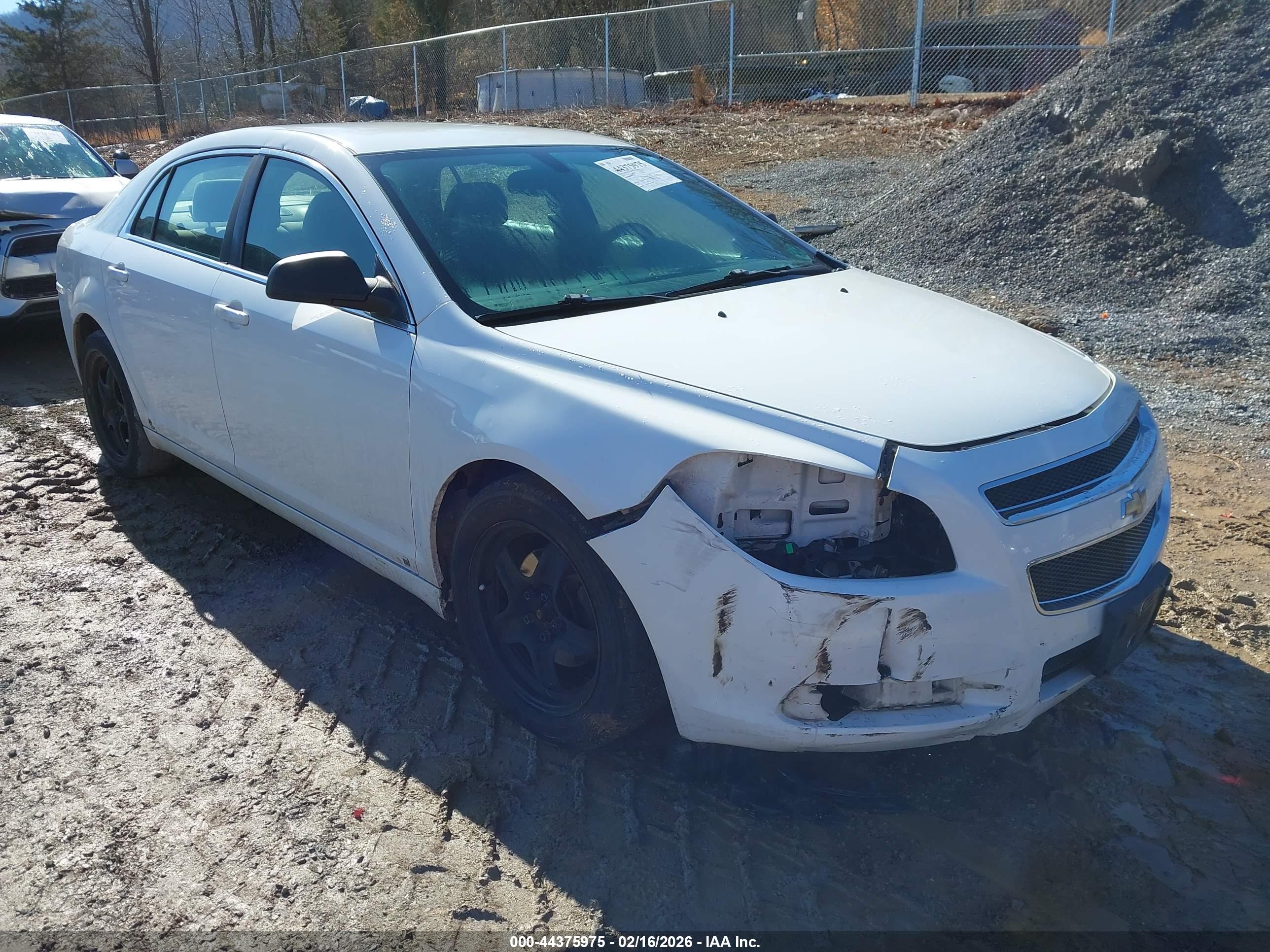 CHEVROLET MALIBU image 6
