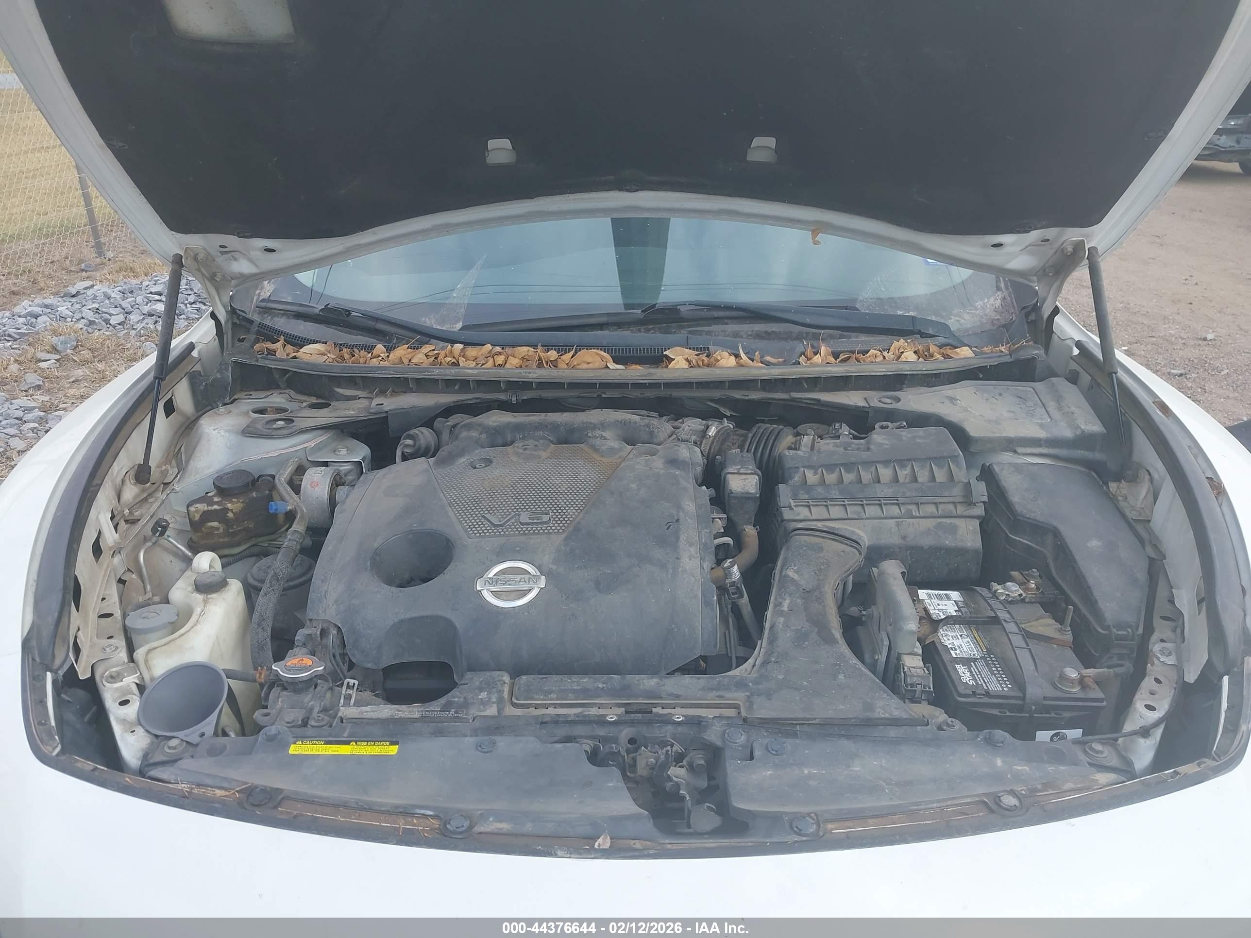 NISSAN MAXIMA image 10