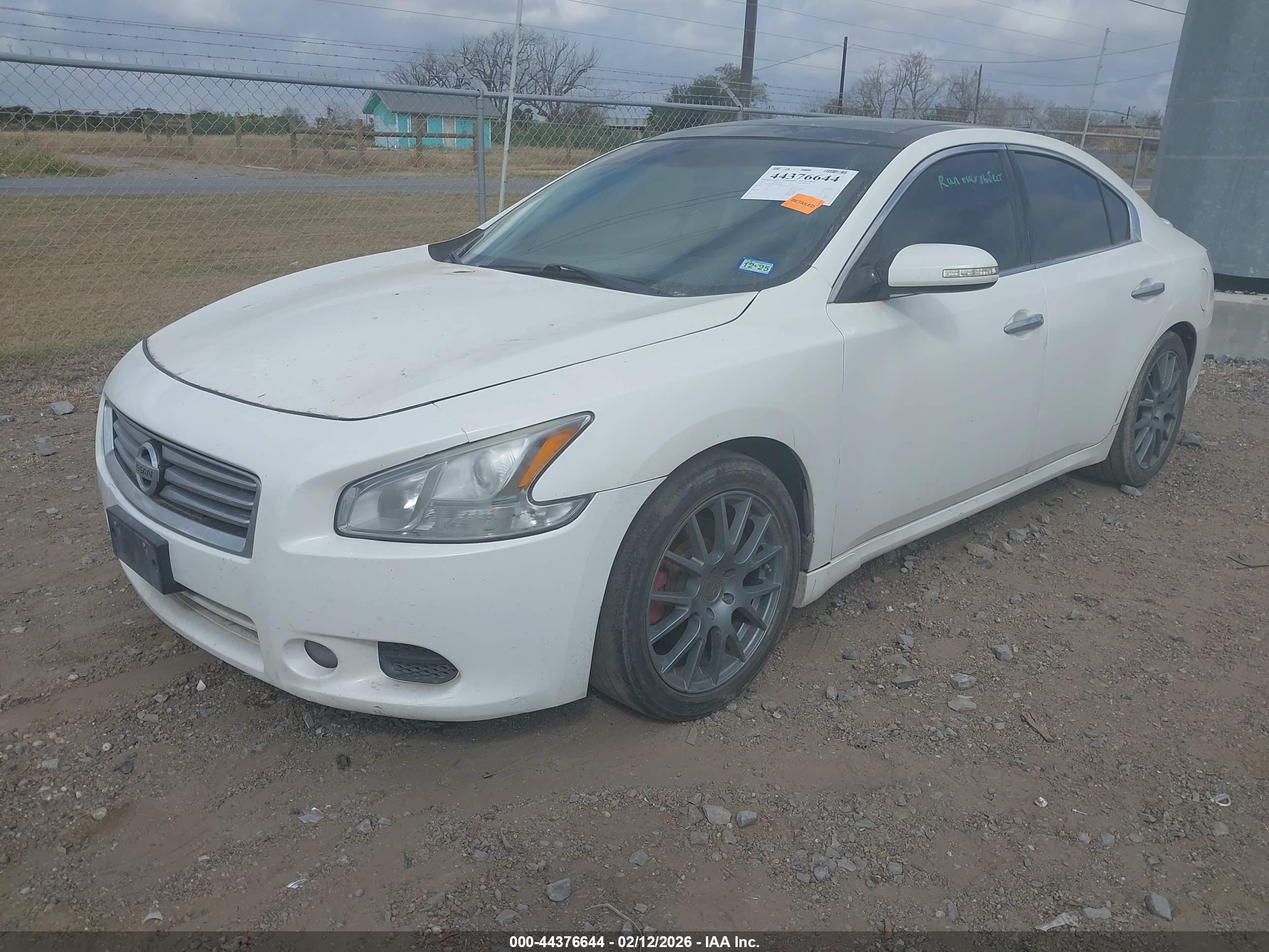 NISSAN MAXIMA image 2