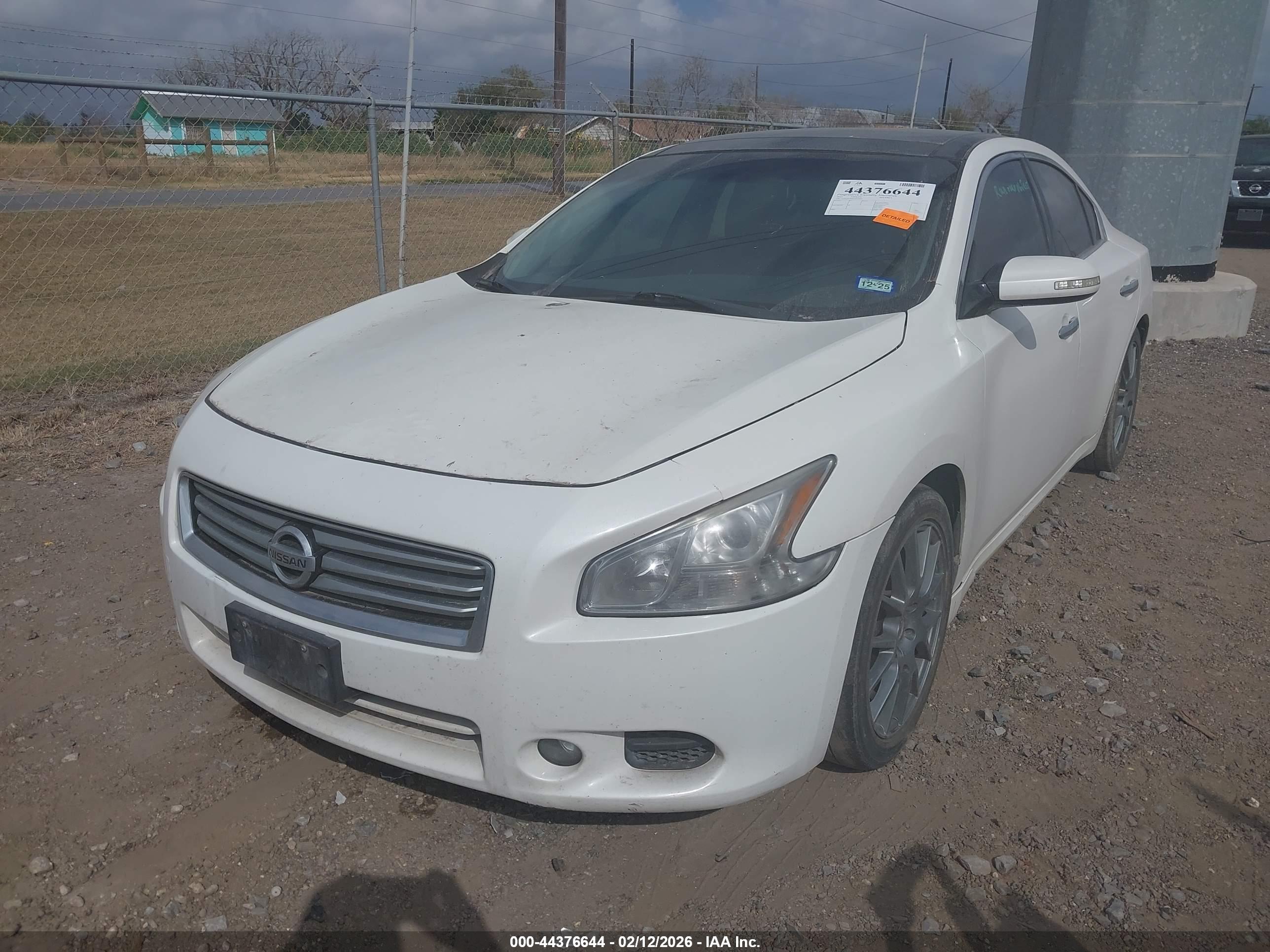 NISSAN MAXIMA image 6