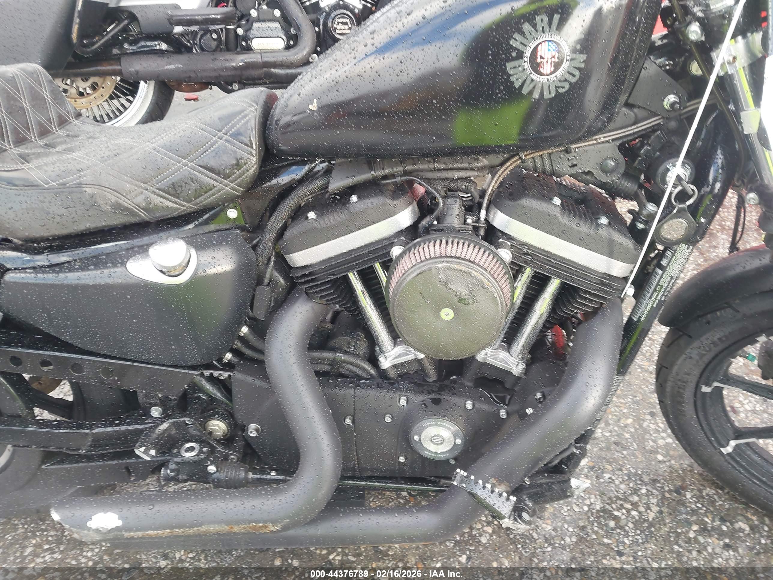 HARLEY-DAVIDSON XL883 image 8