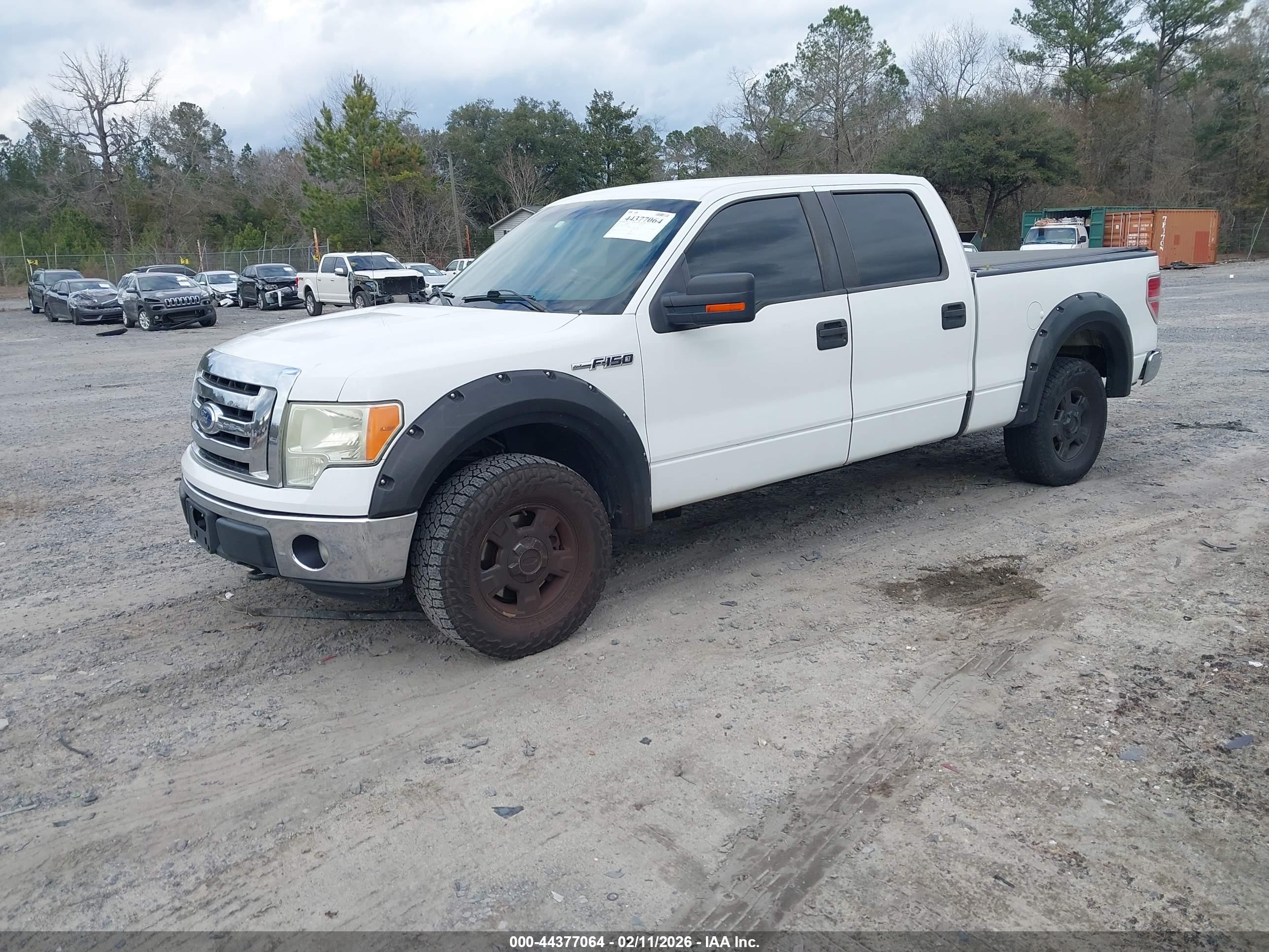 FORD F-150 image 2