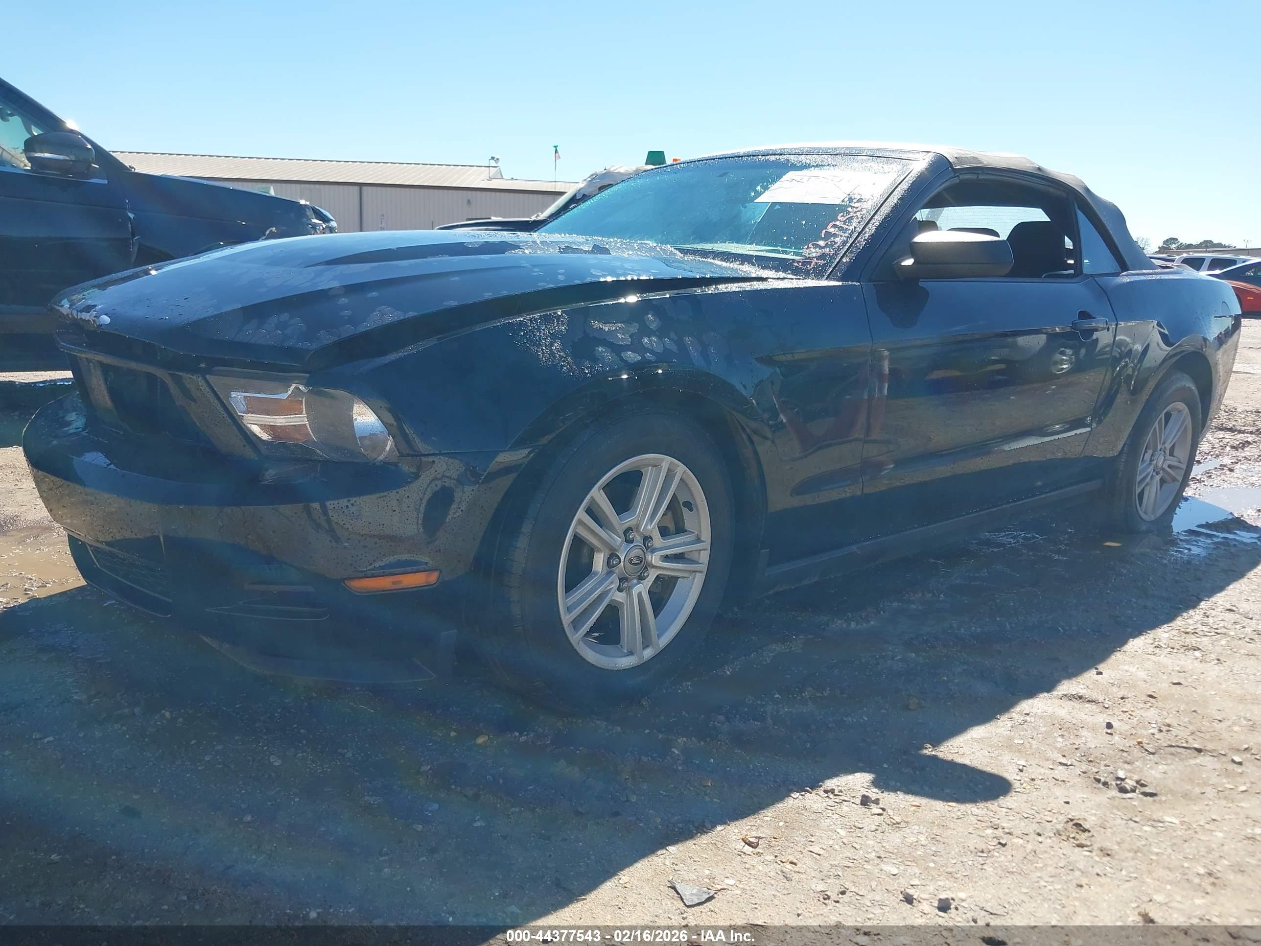 FORD MUSTANG image 2