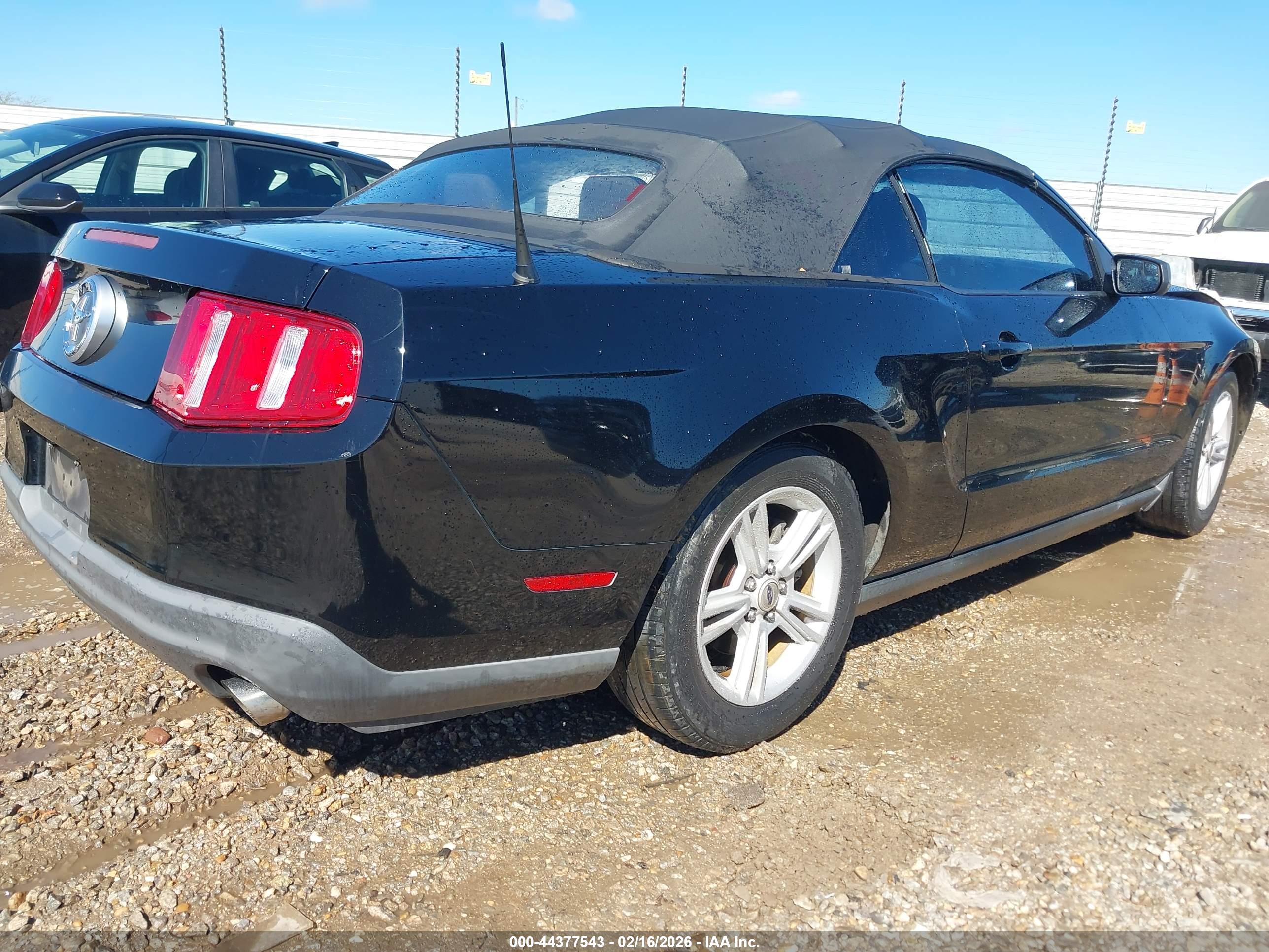 FORD MUSTANG image 4