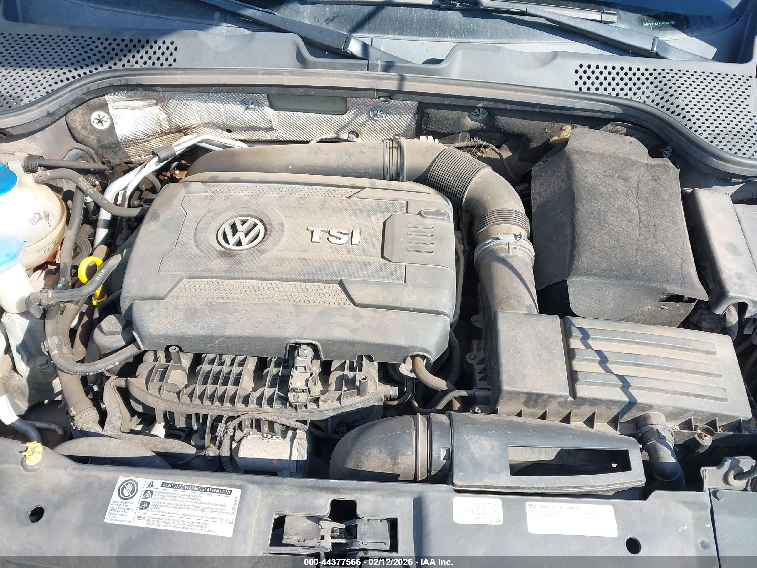 VOLKSWAGEN BEETLE image 10