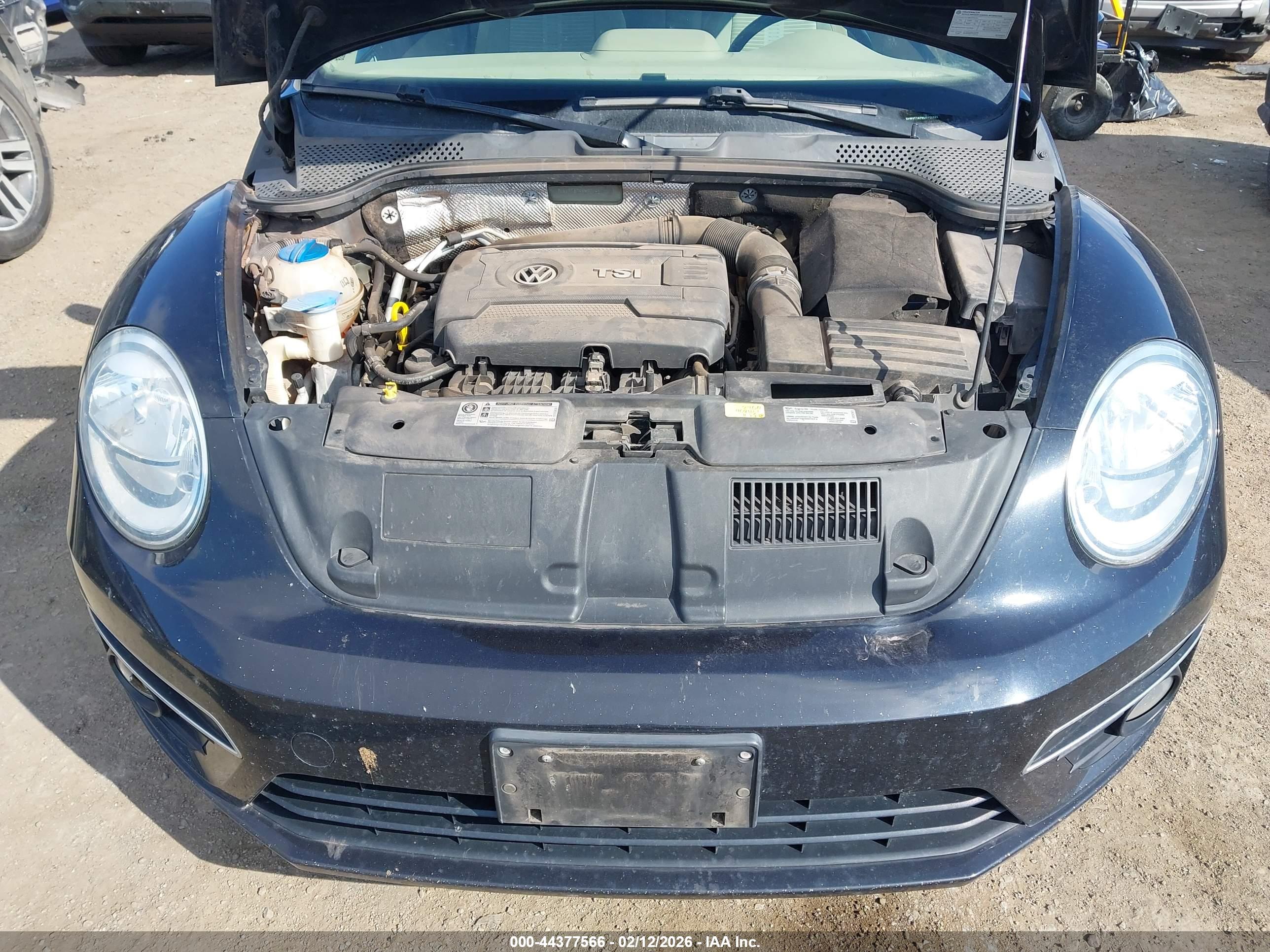 VOLKSWAGEN BEETLE image 6