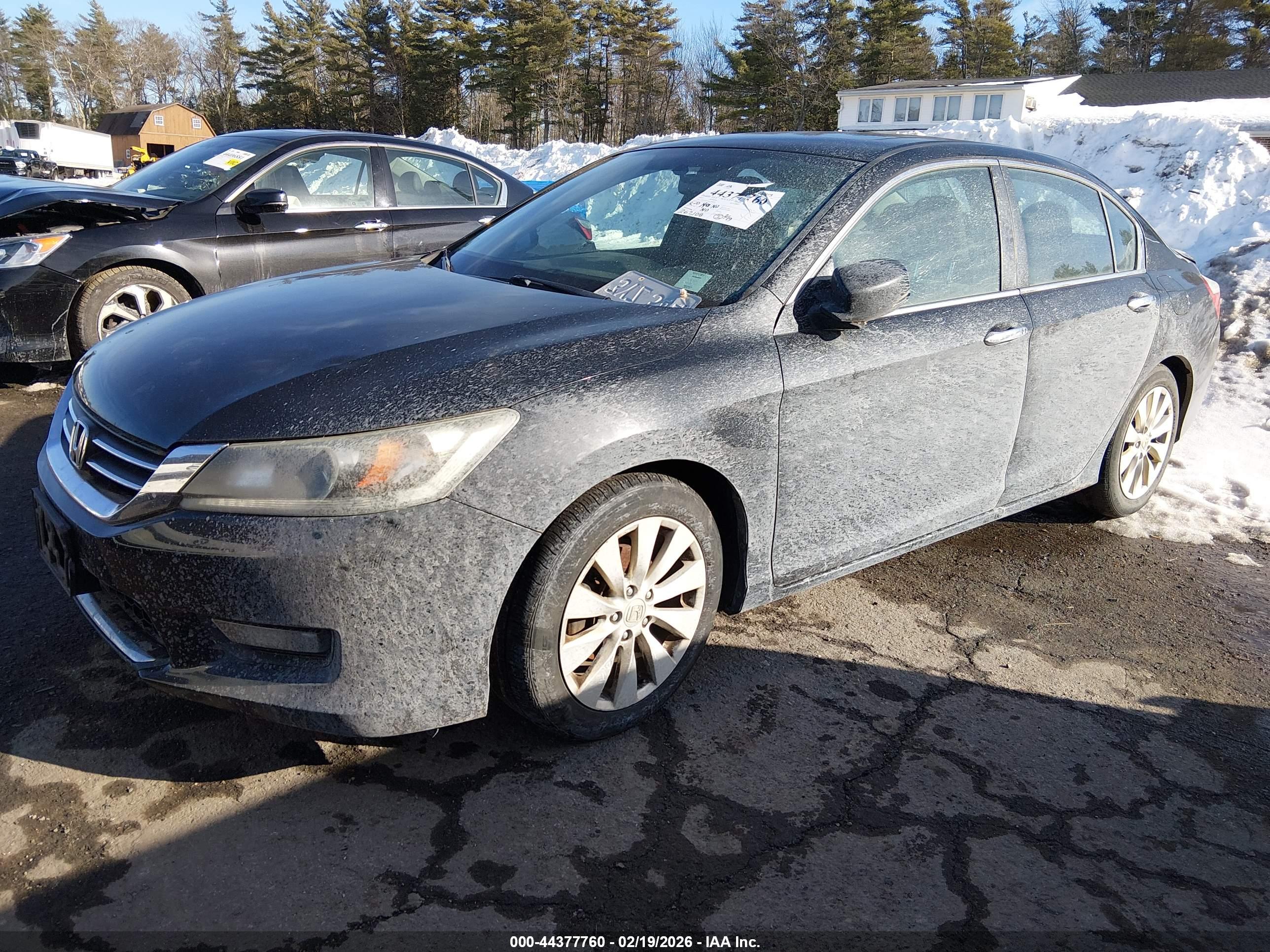 HONDA ACCORD image 2