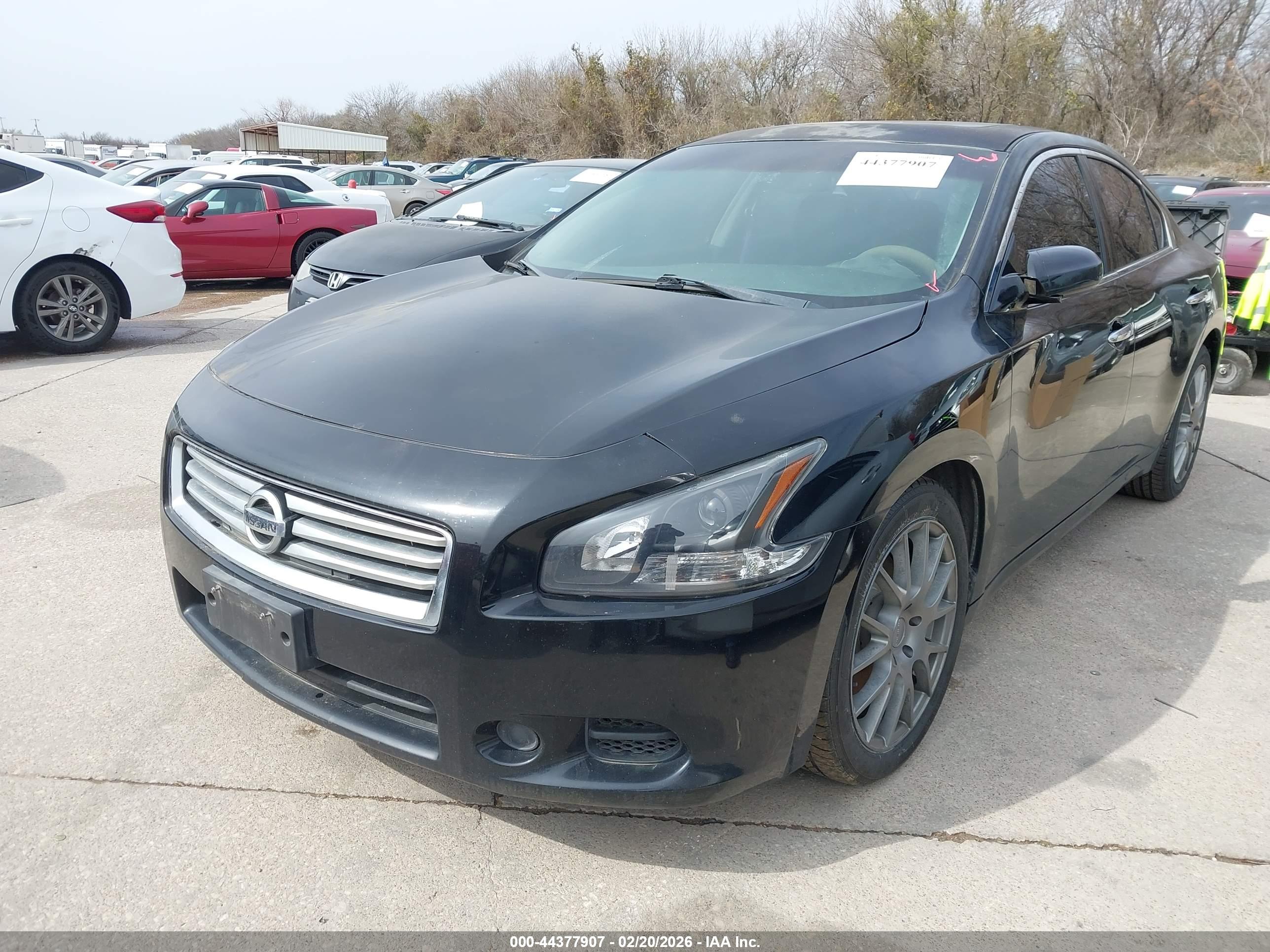 NISSAN MAXIMA image 2