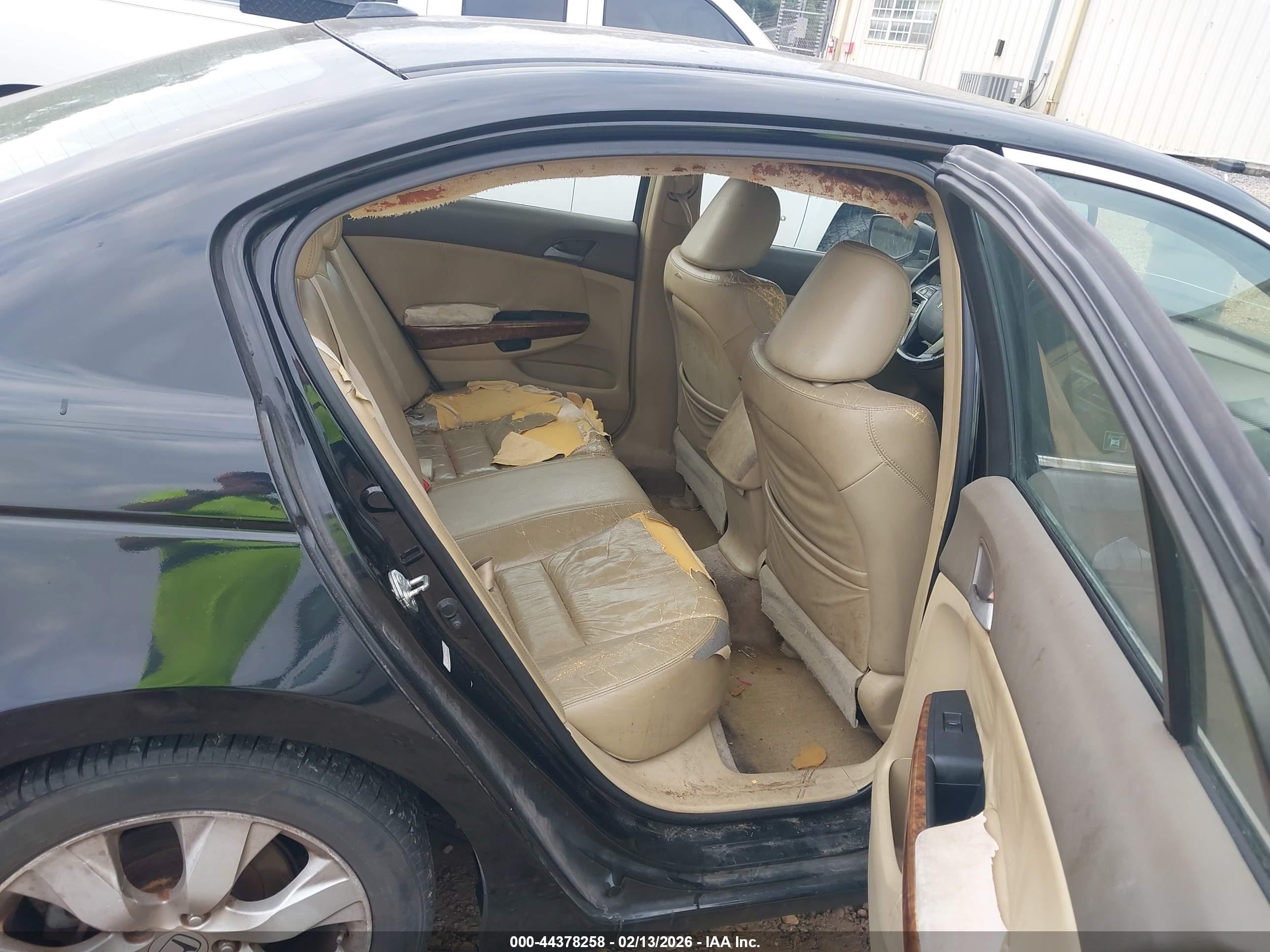 HONDA ACCORD image 8