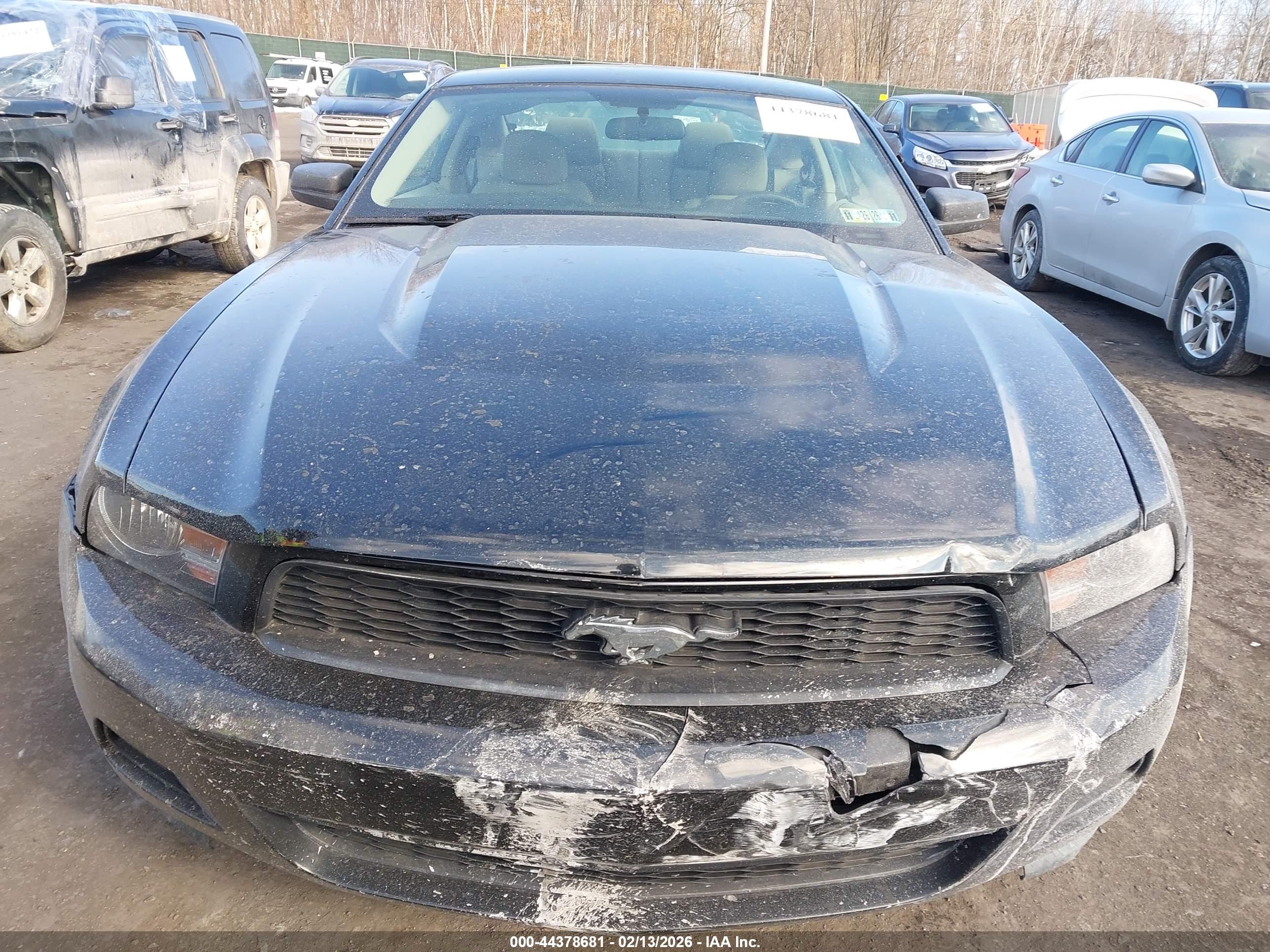 FORD MUSTANG image 6