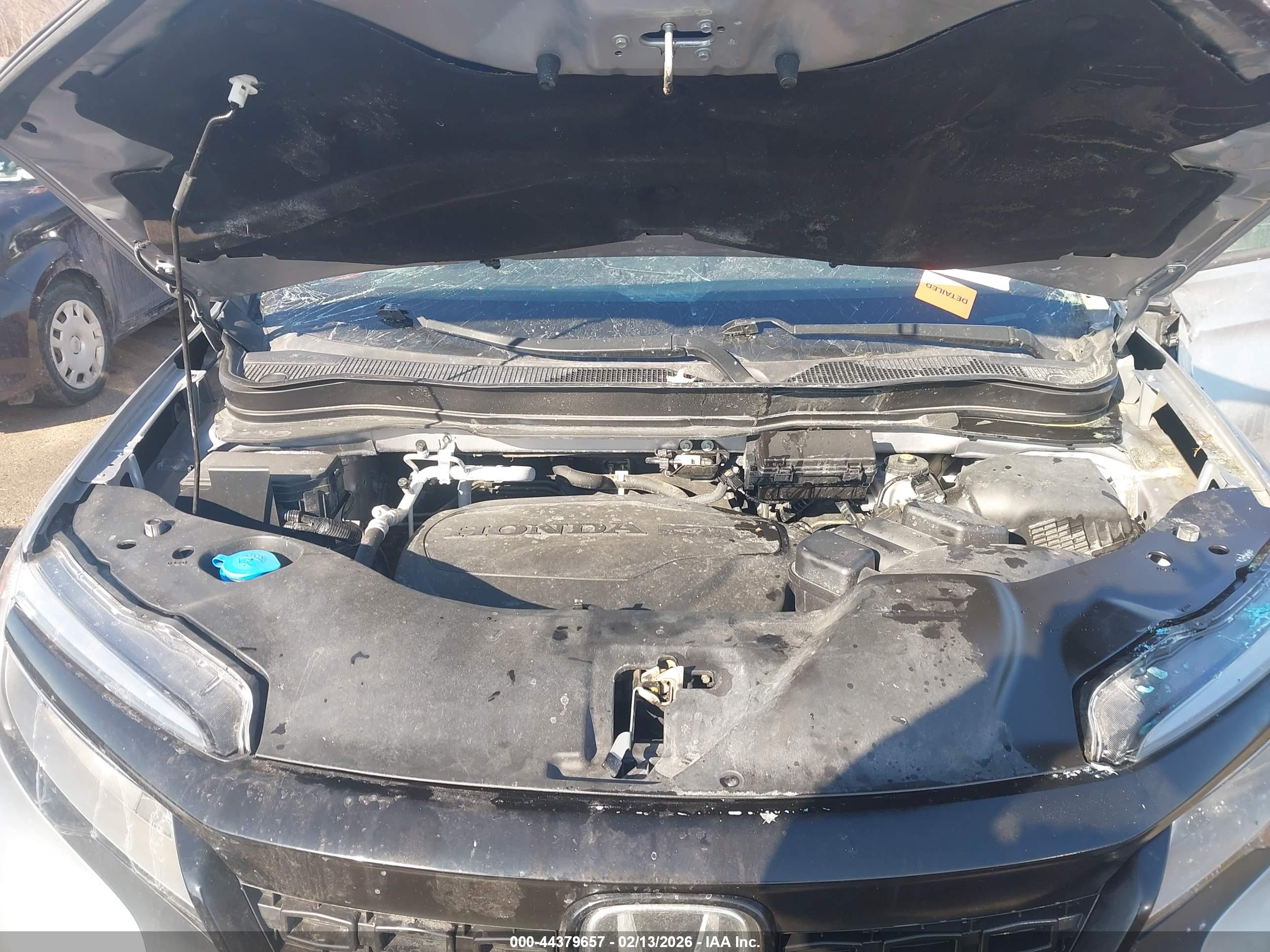 HONDA PASSPORT image 10