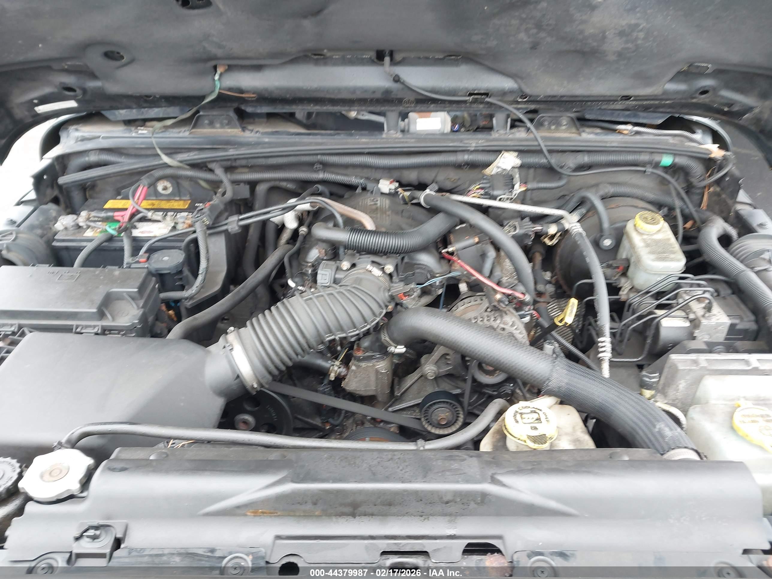 JEEP WRANGLER image 10