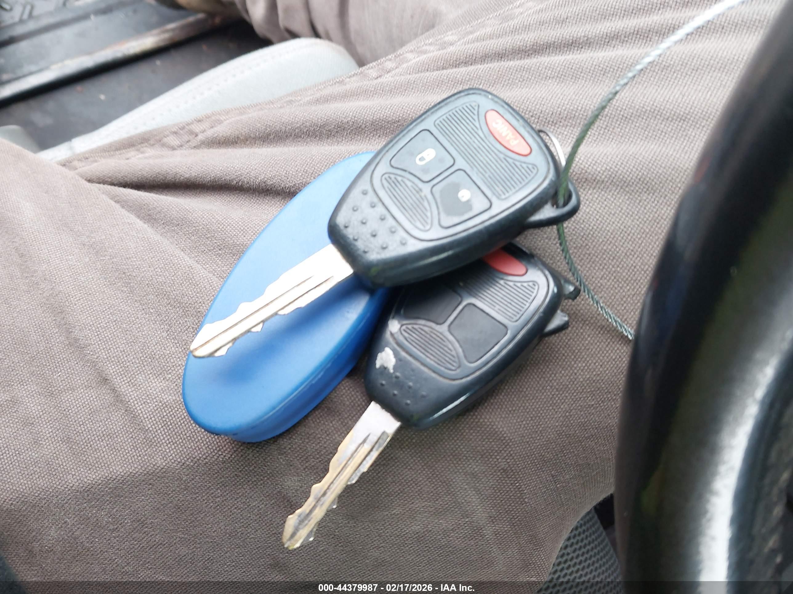 JEEP WRANGLER image 11