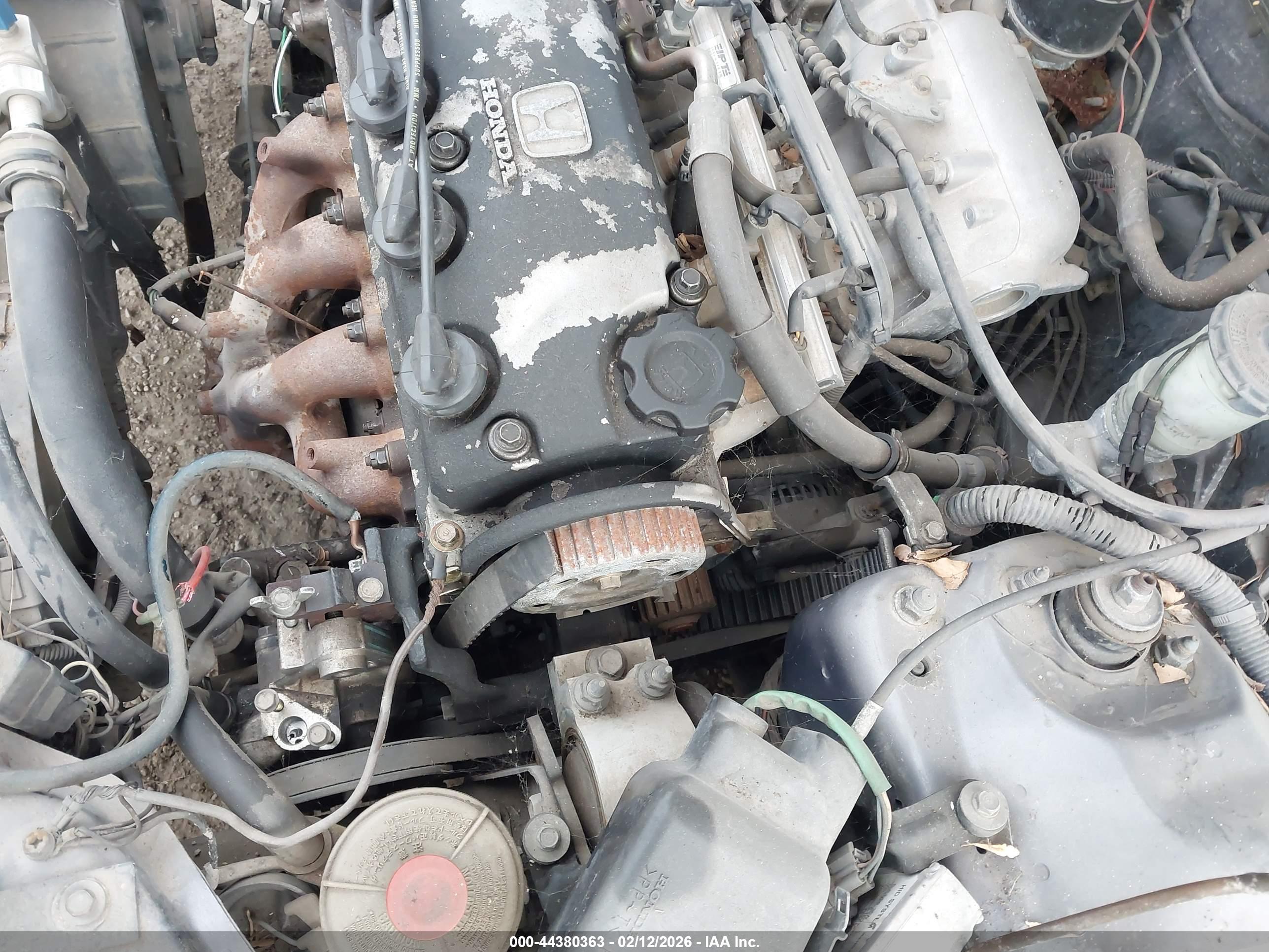 HONDA CIVIC image 6