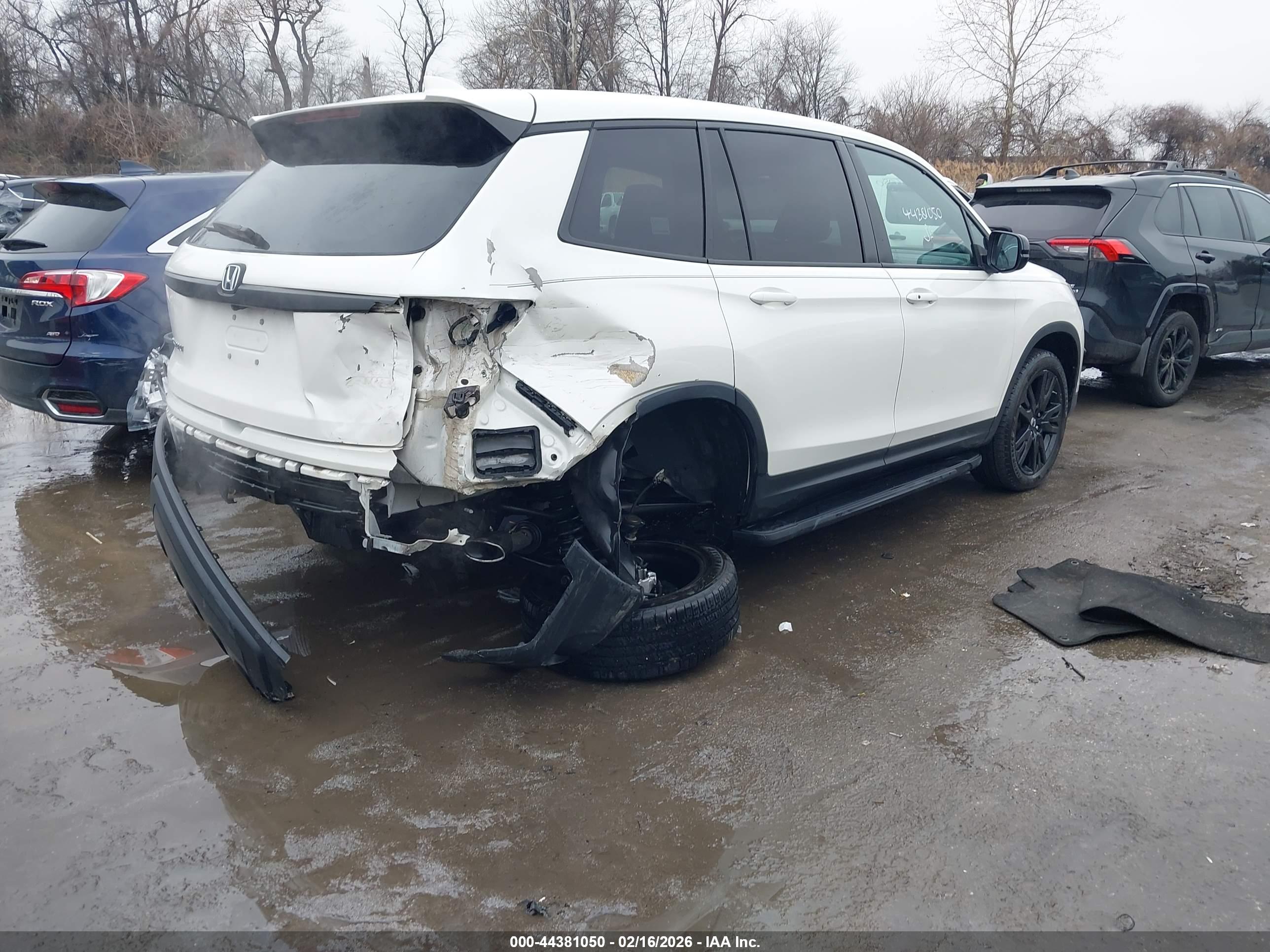HONDA PASSPORT image 4
