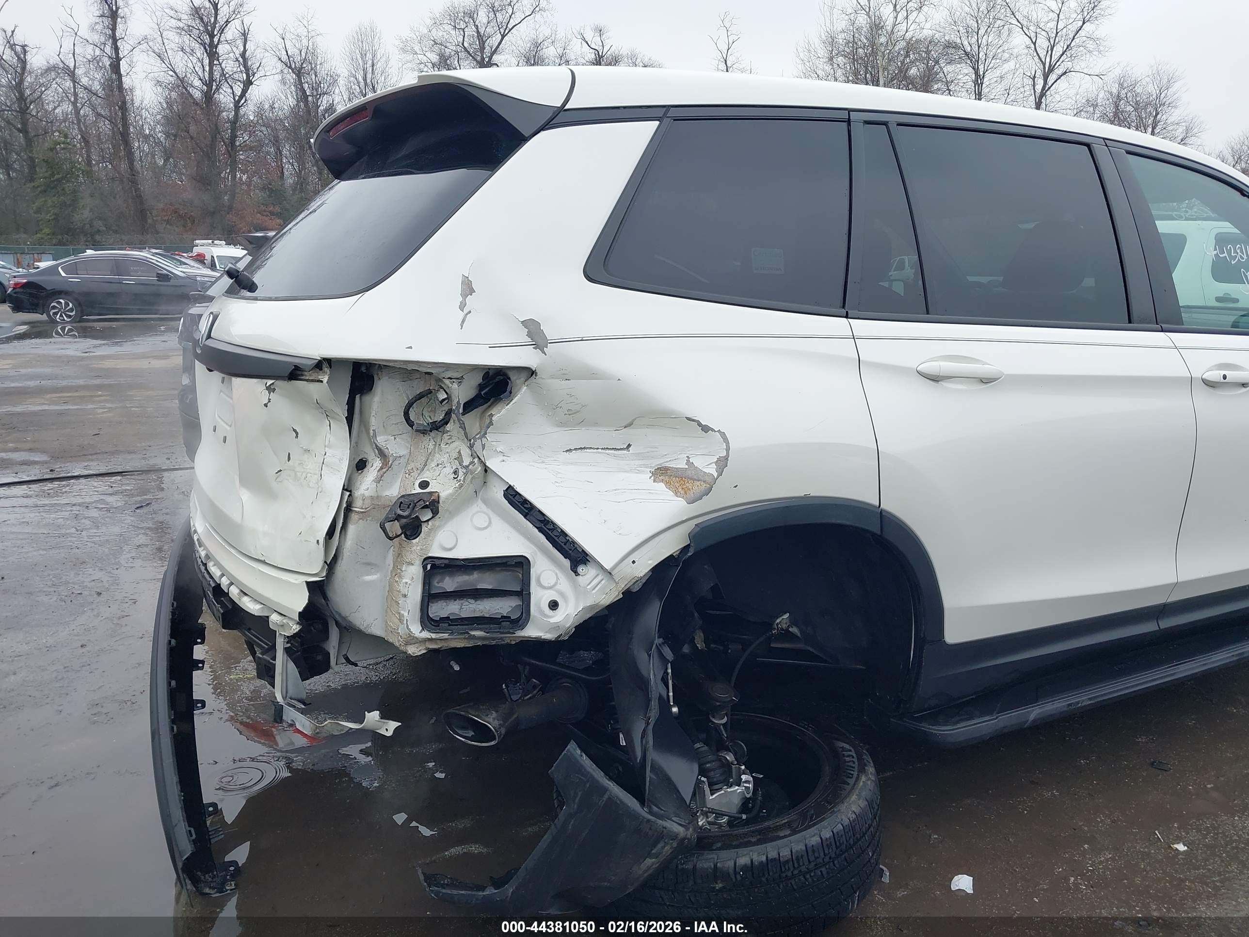 HONDA PASSPORT image 6