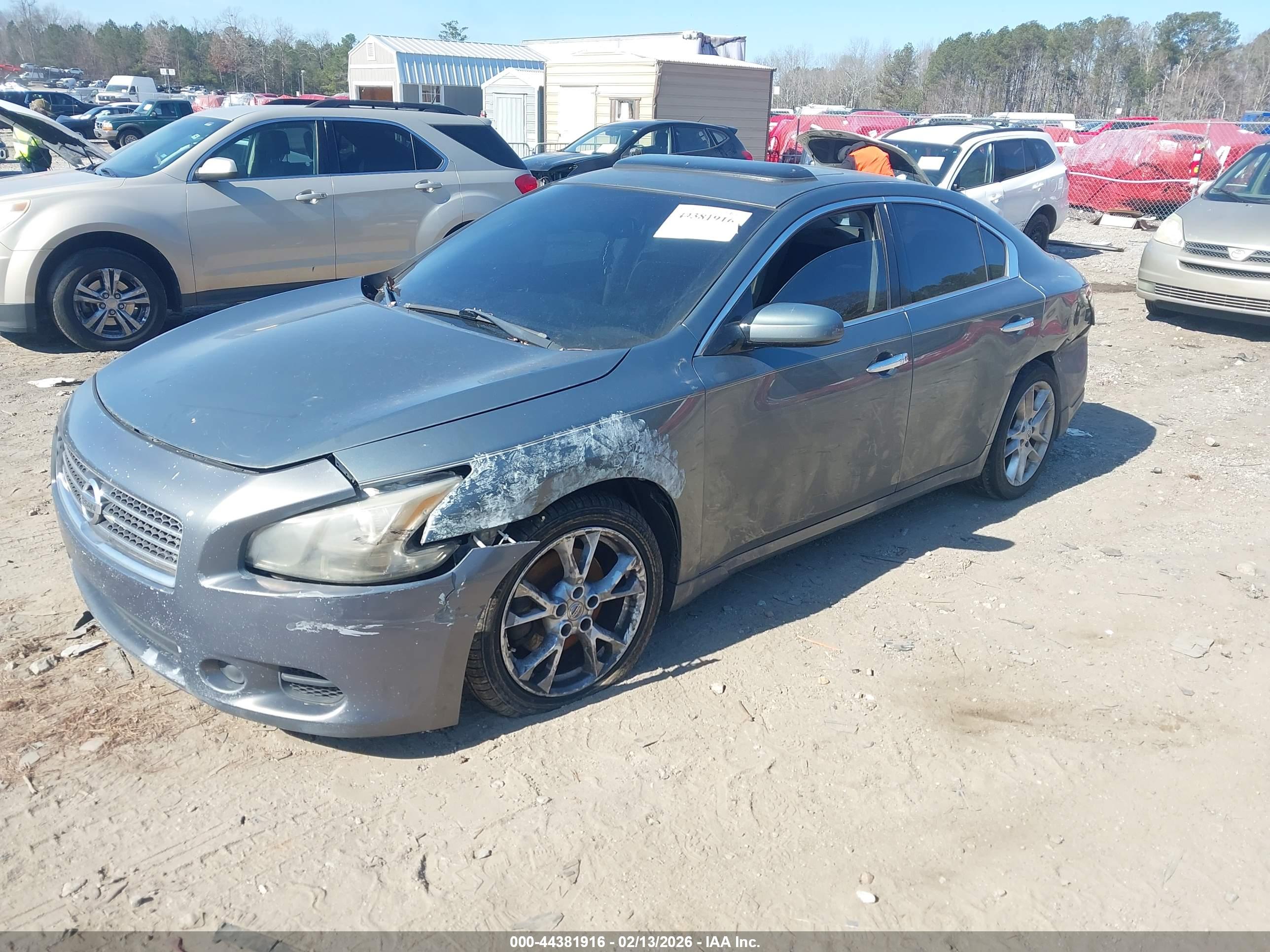 NISSAN MAXIMA image 2