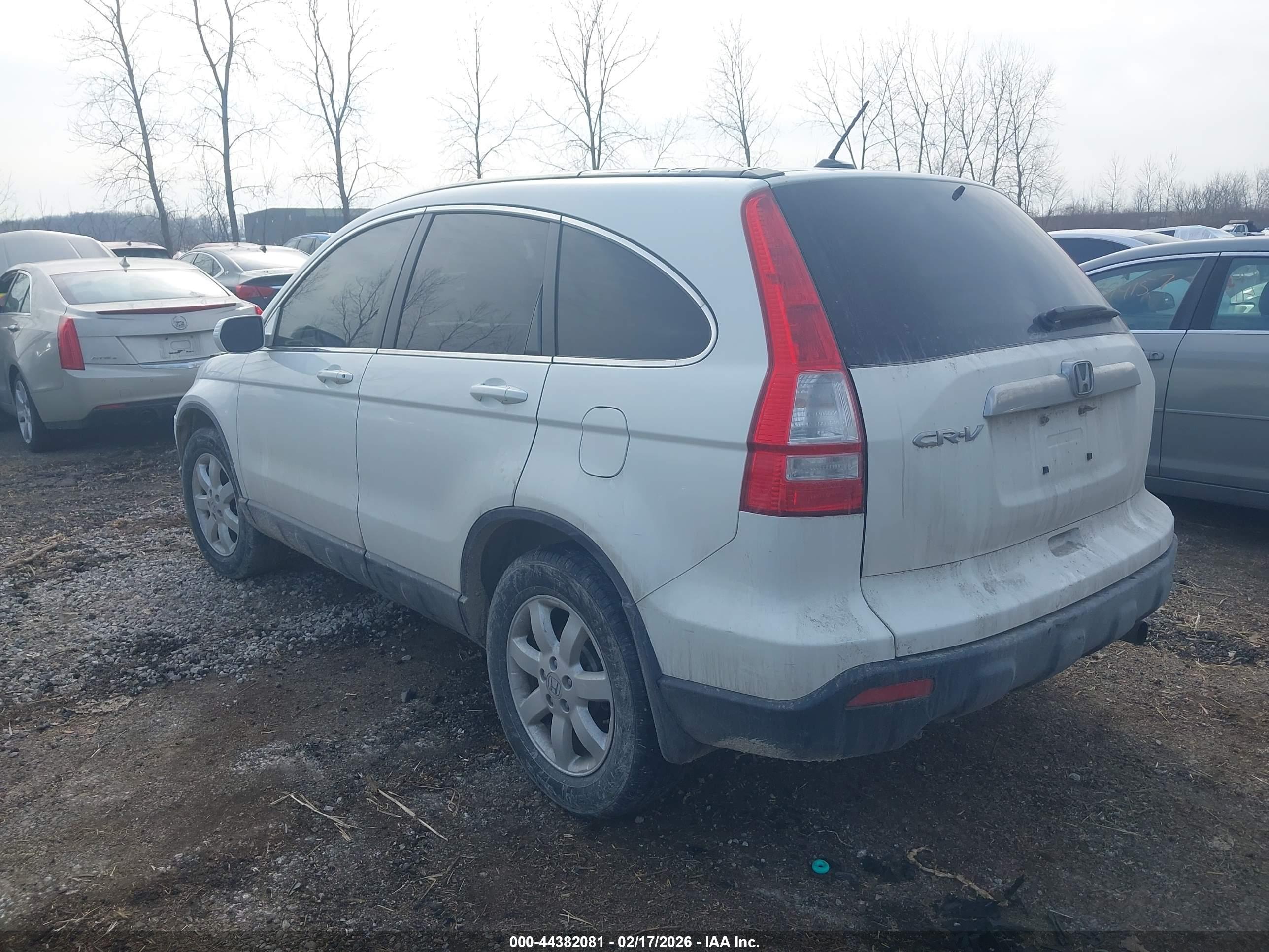 HONDA CR-V image 3