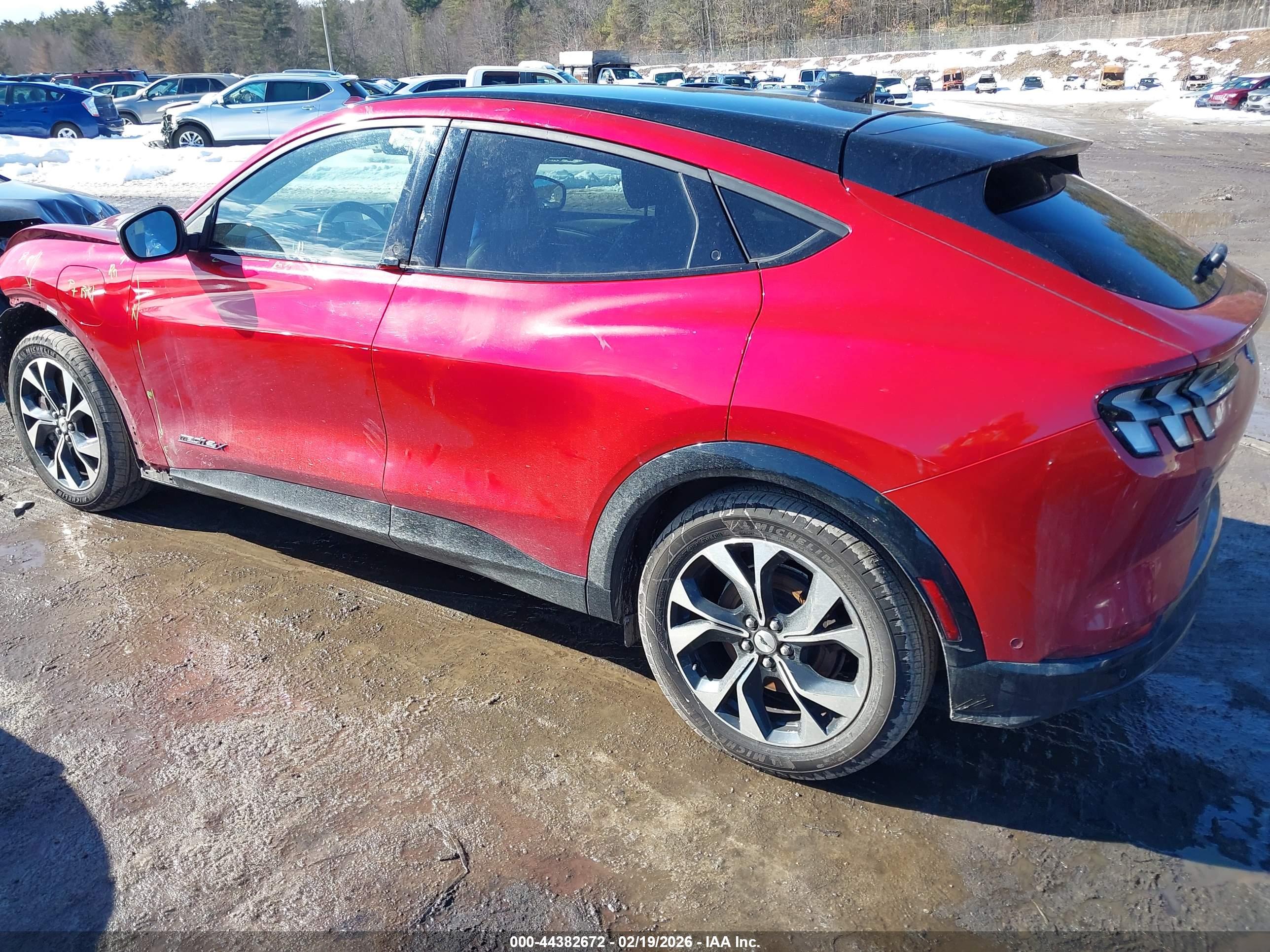 FORD MUSTANG image 3