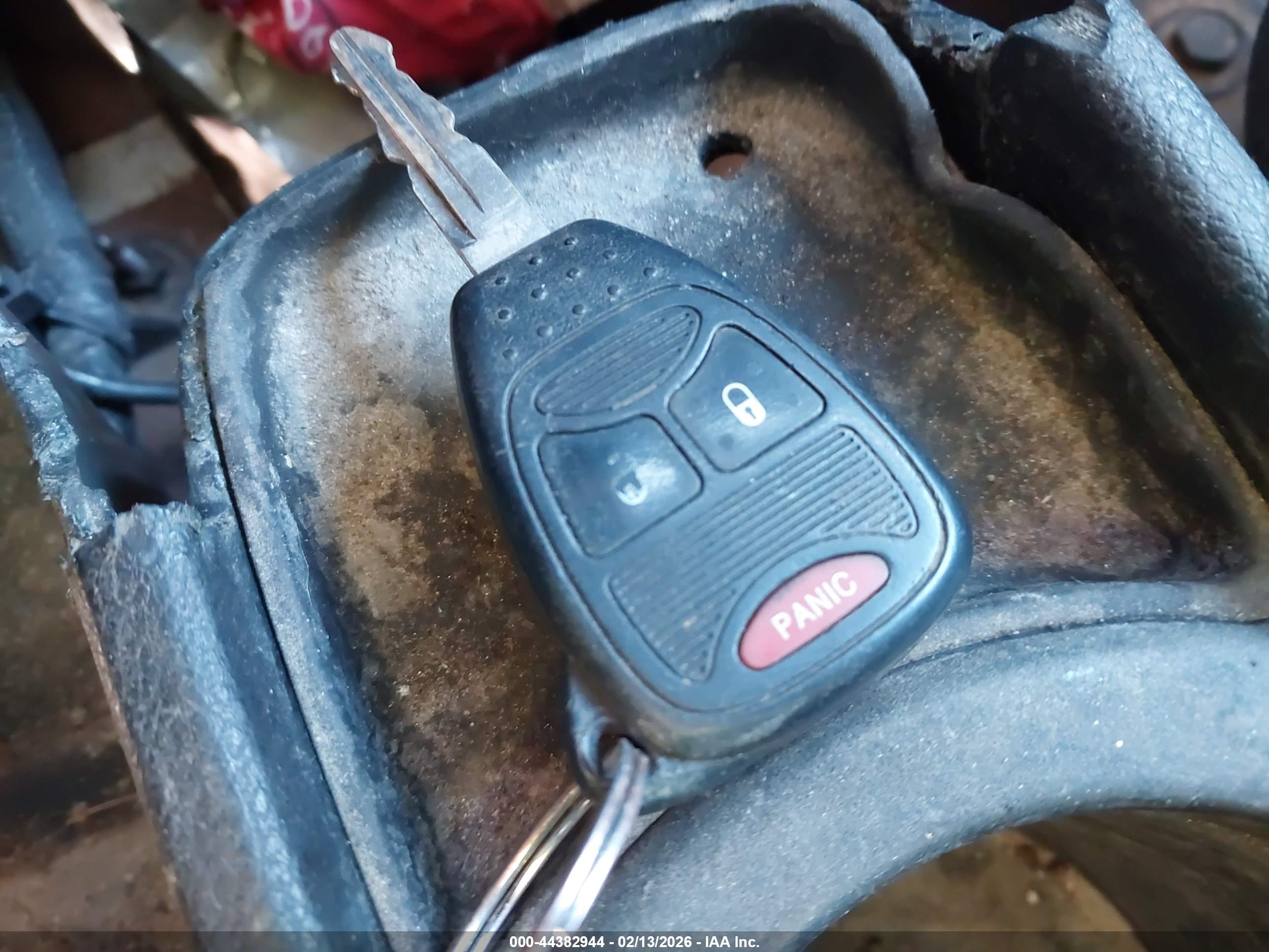 JEEP WRANGLER image 11