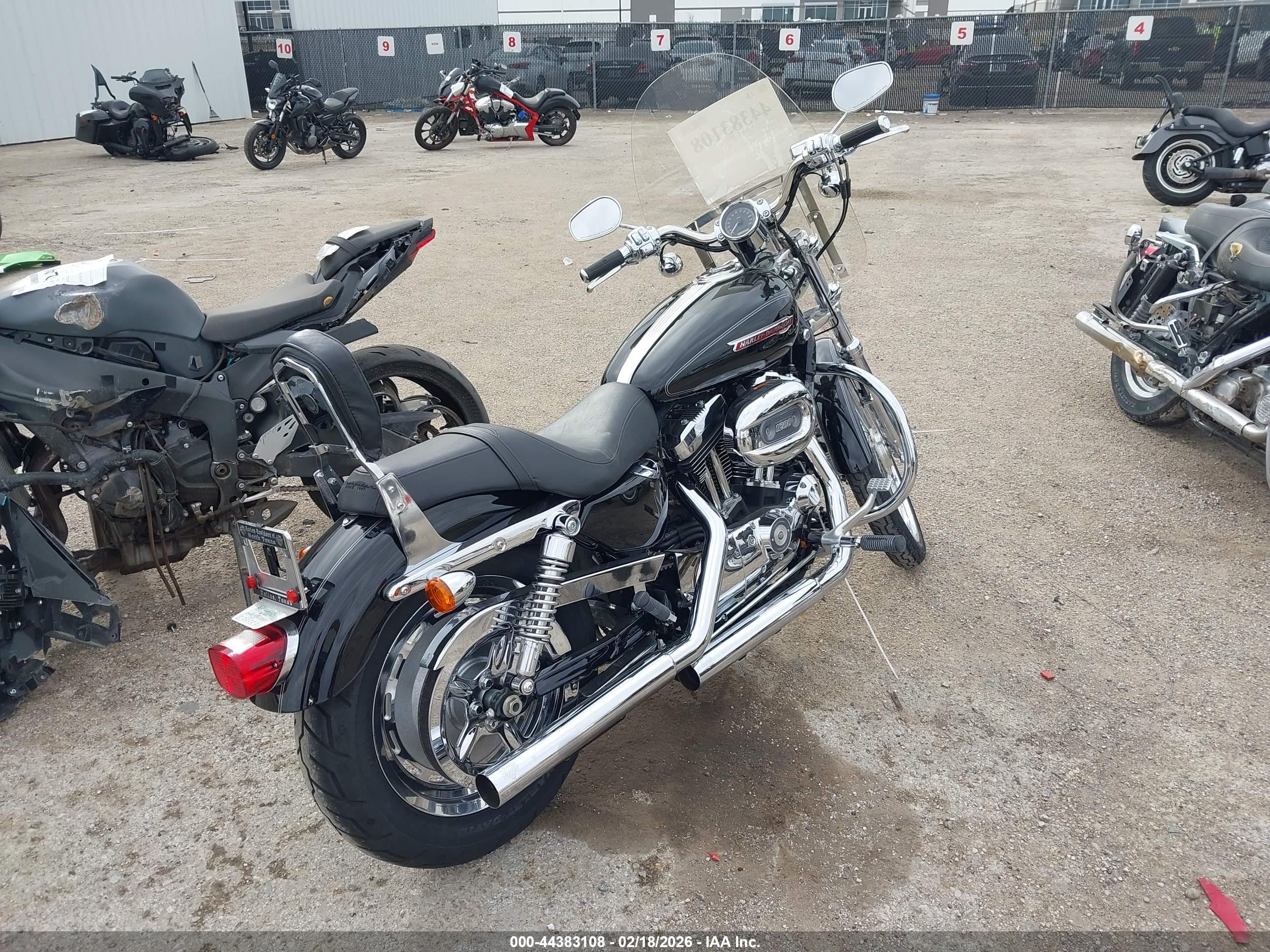 HARLEY-DAVIDSON XL1200 image 4