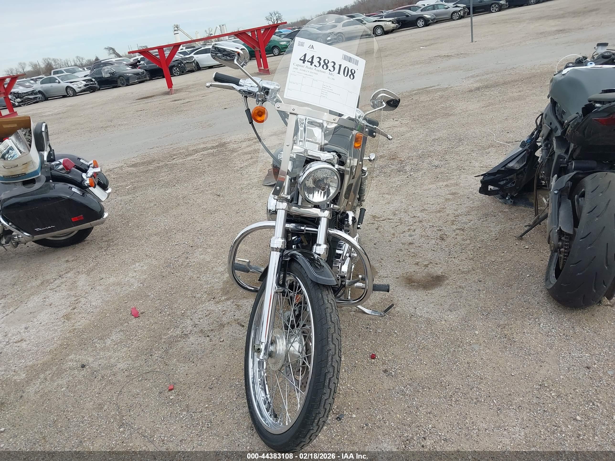 HARLEY-DAVIDSON XL1200 image 5