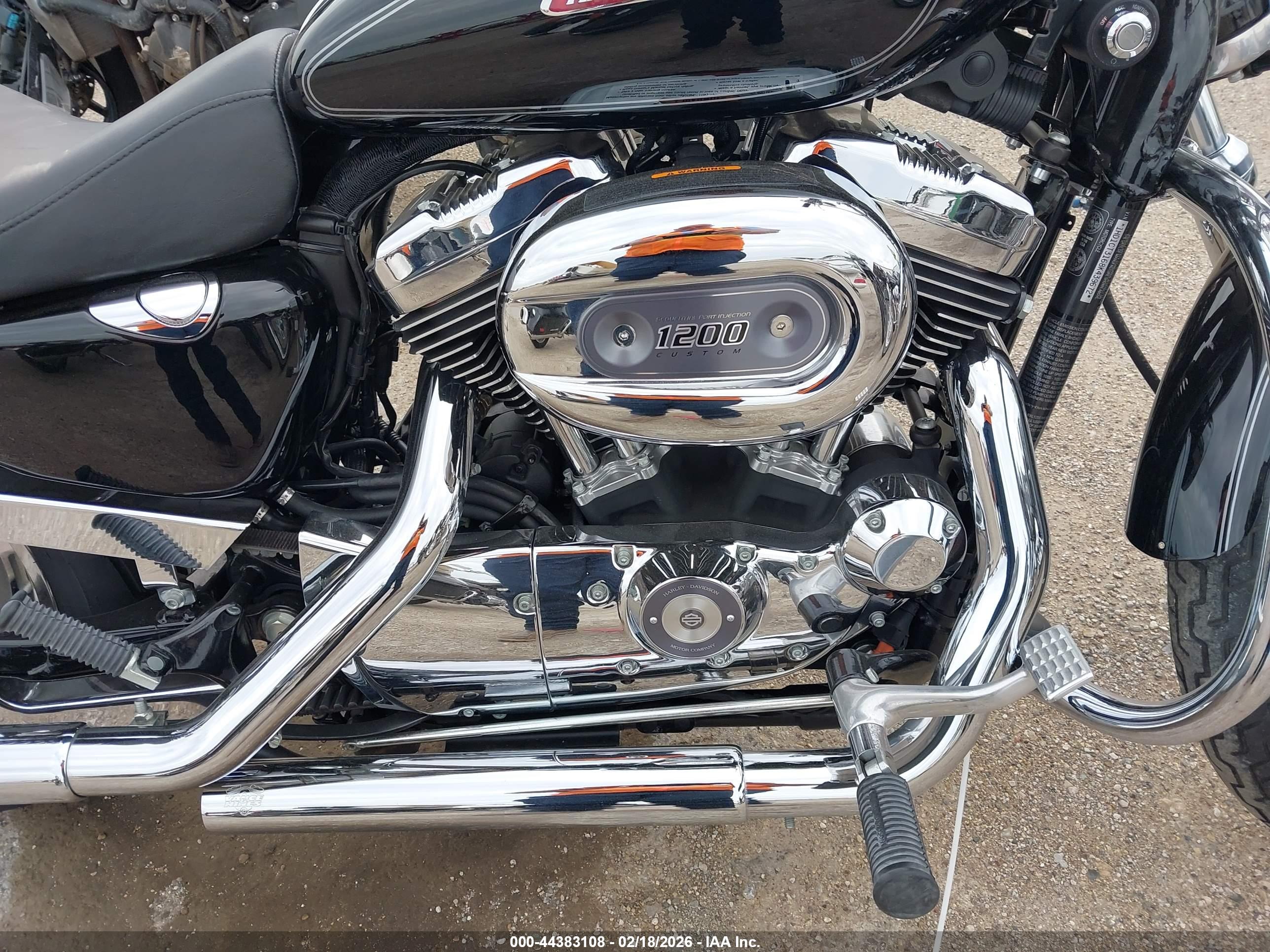 HARLEY-DAVIDSON XL1200 image 8