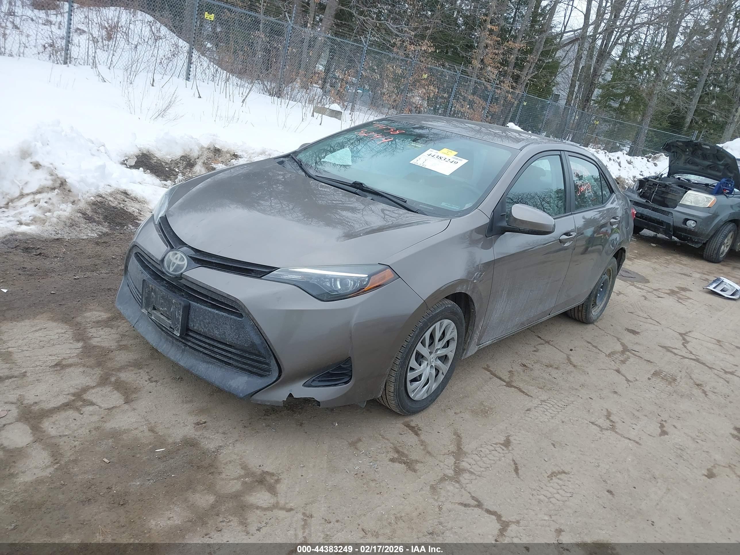 TOYOTA COROLLA image 2