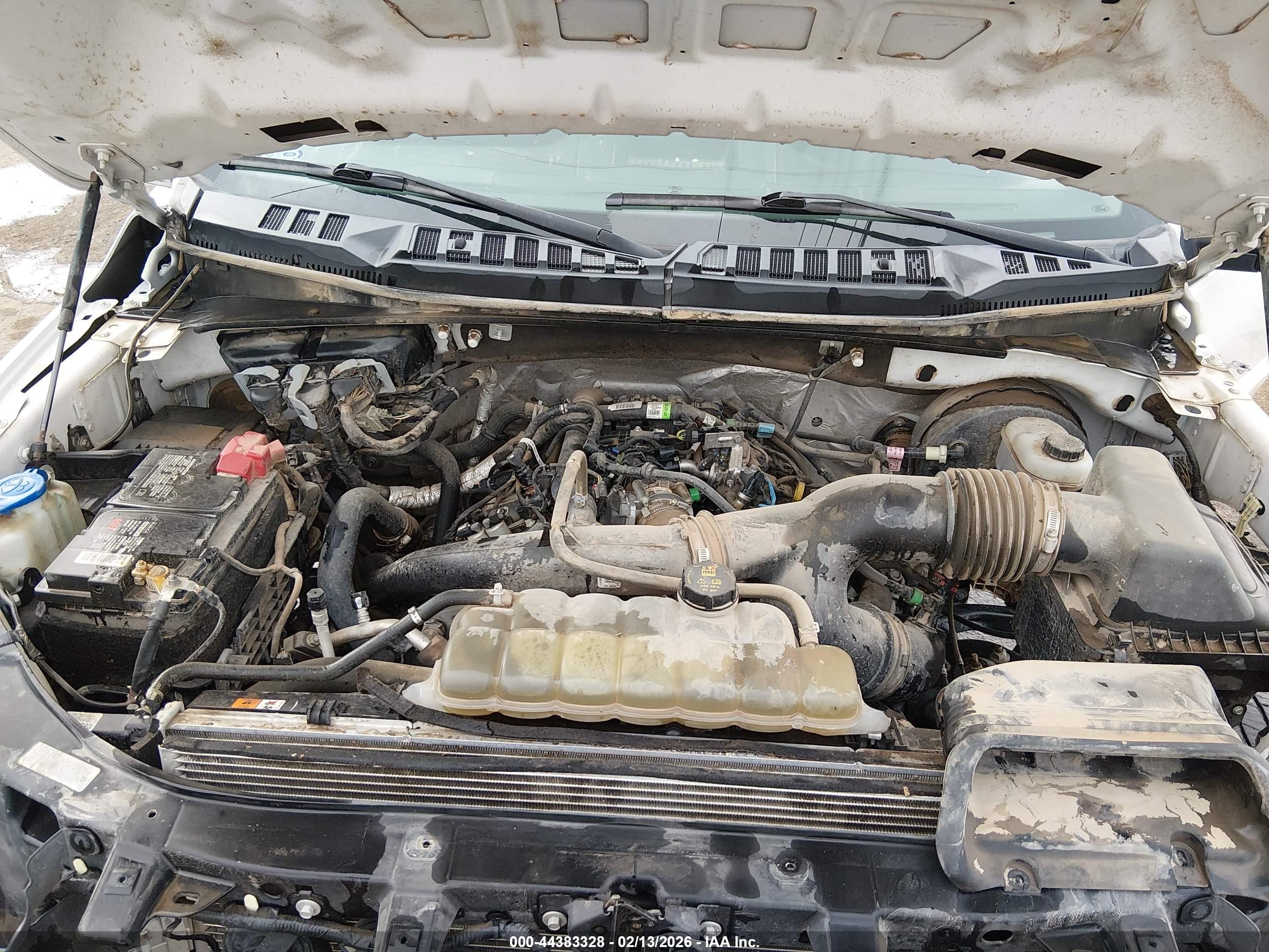 FORD F-150 image 10