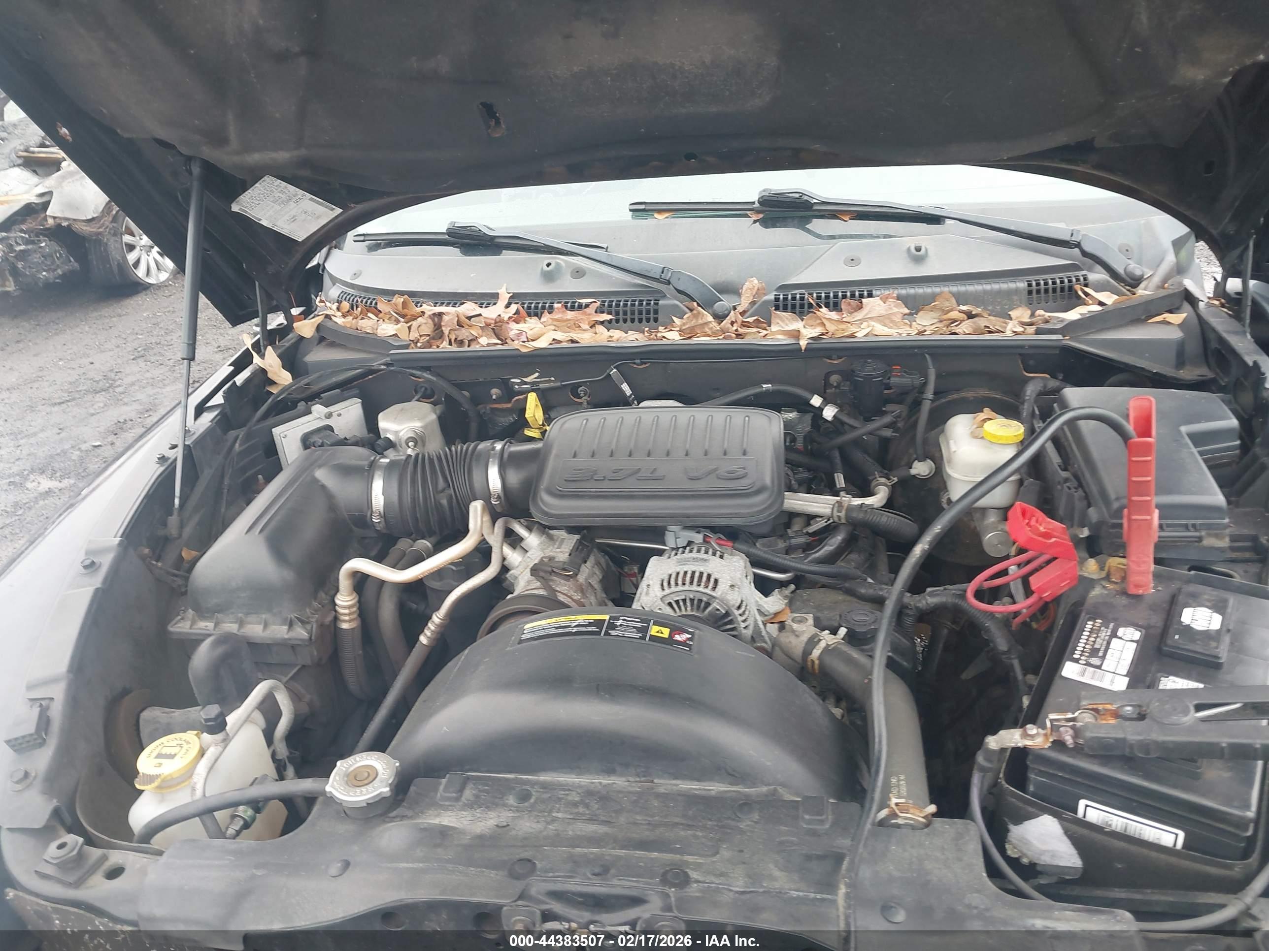 DODGE DAKOTA image 10