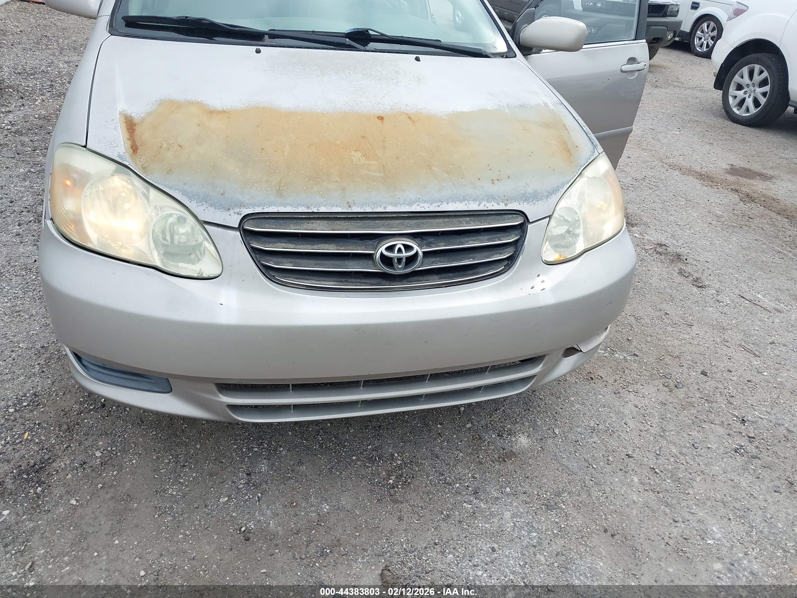 TOYOTA COROLLA image 6