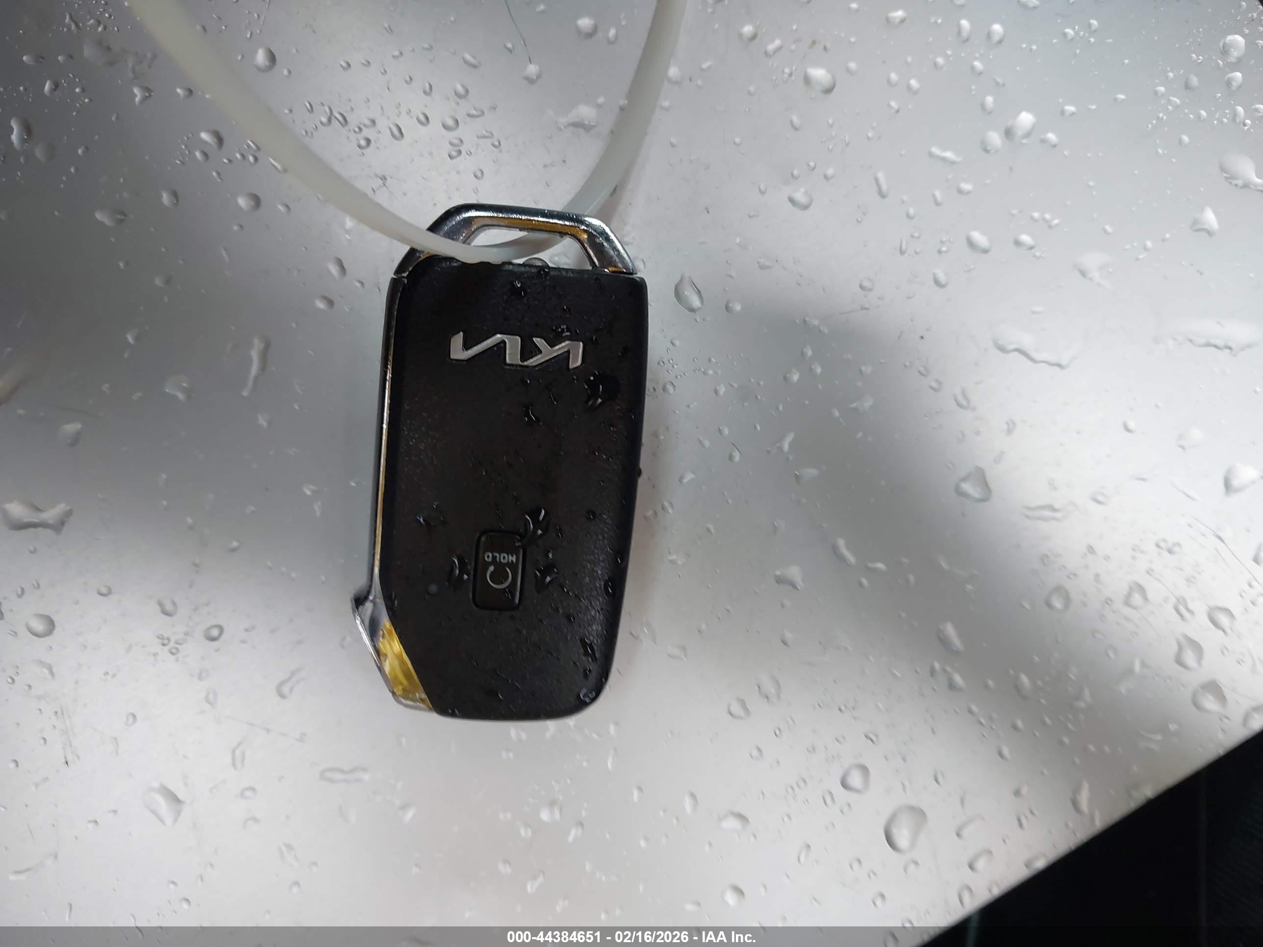 KIA K5 image 11