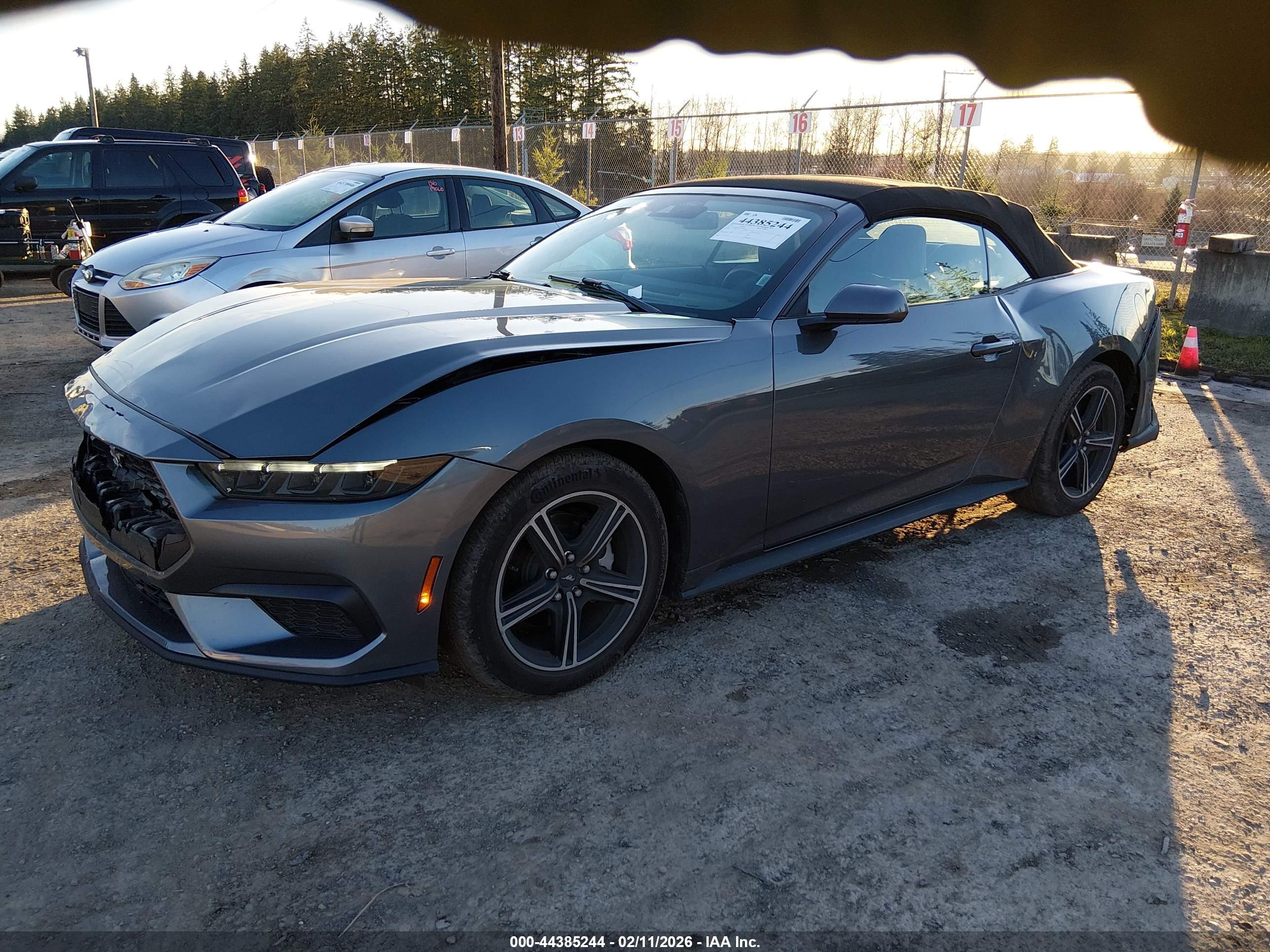 FORD MUSTANG image 2
