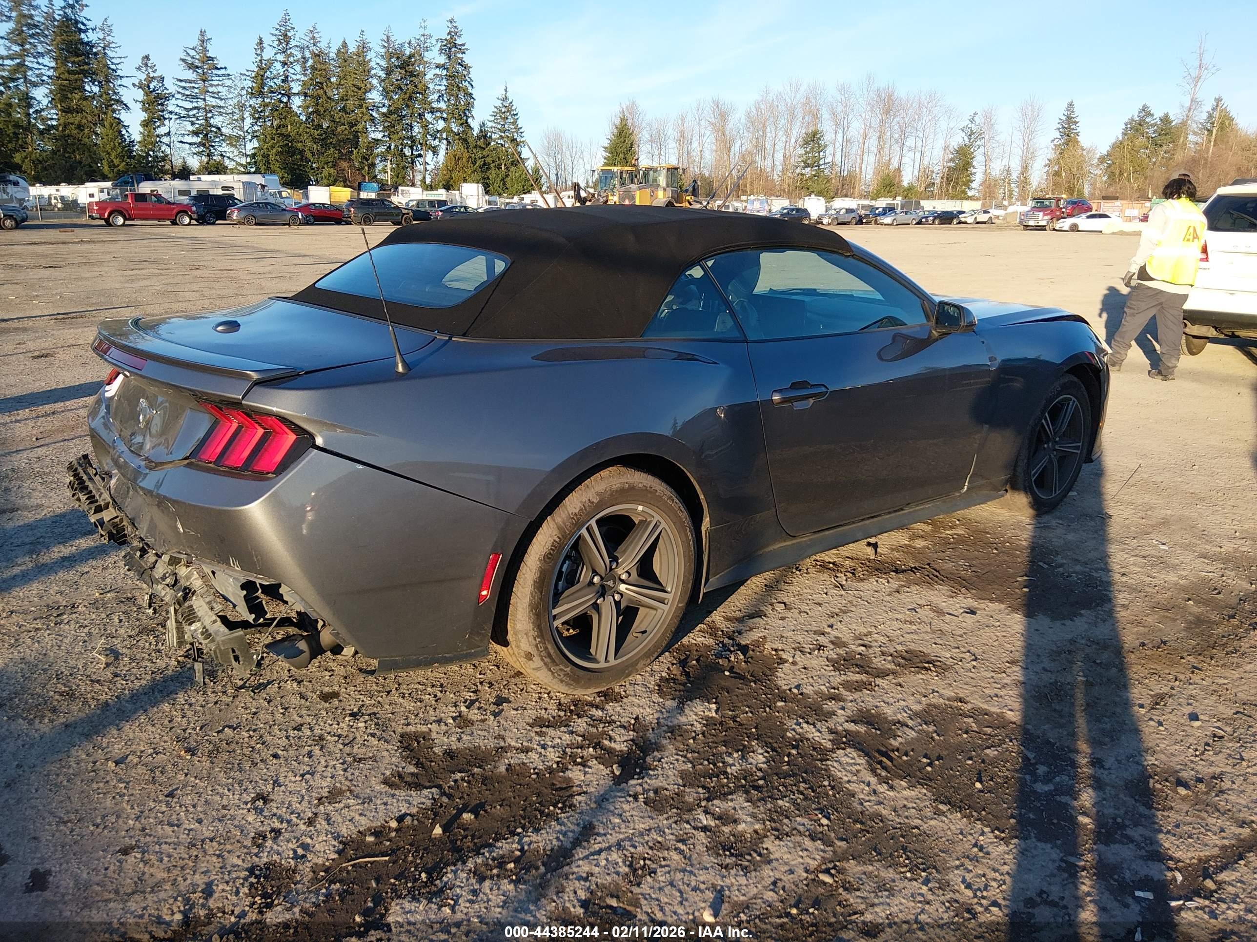 FORD MUSTANG image 4